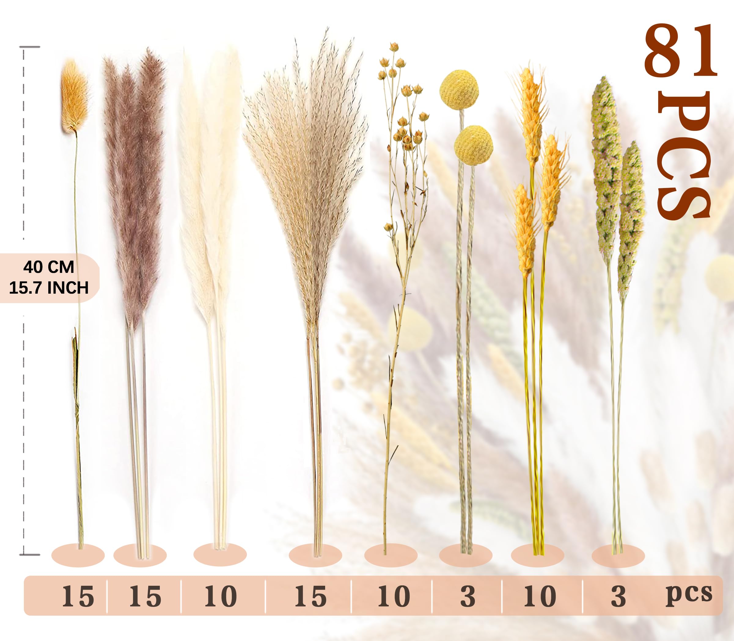 ZJTAPE Pampas Grass Dried, Natural Dried Flowers Decoration, Fluffy Dried Flowers Dried Flowers - Image 2