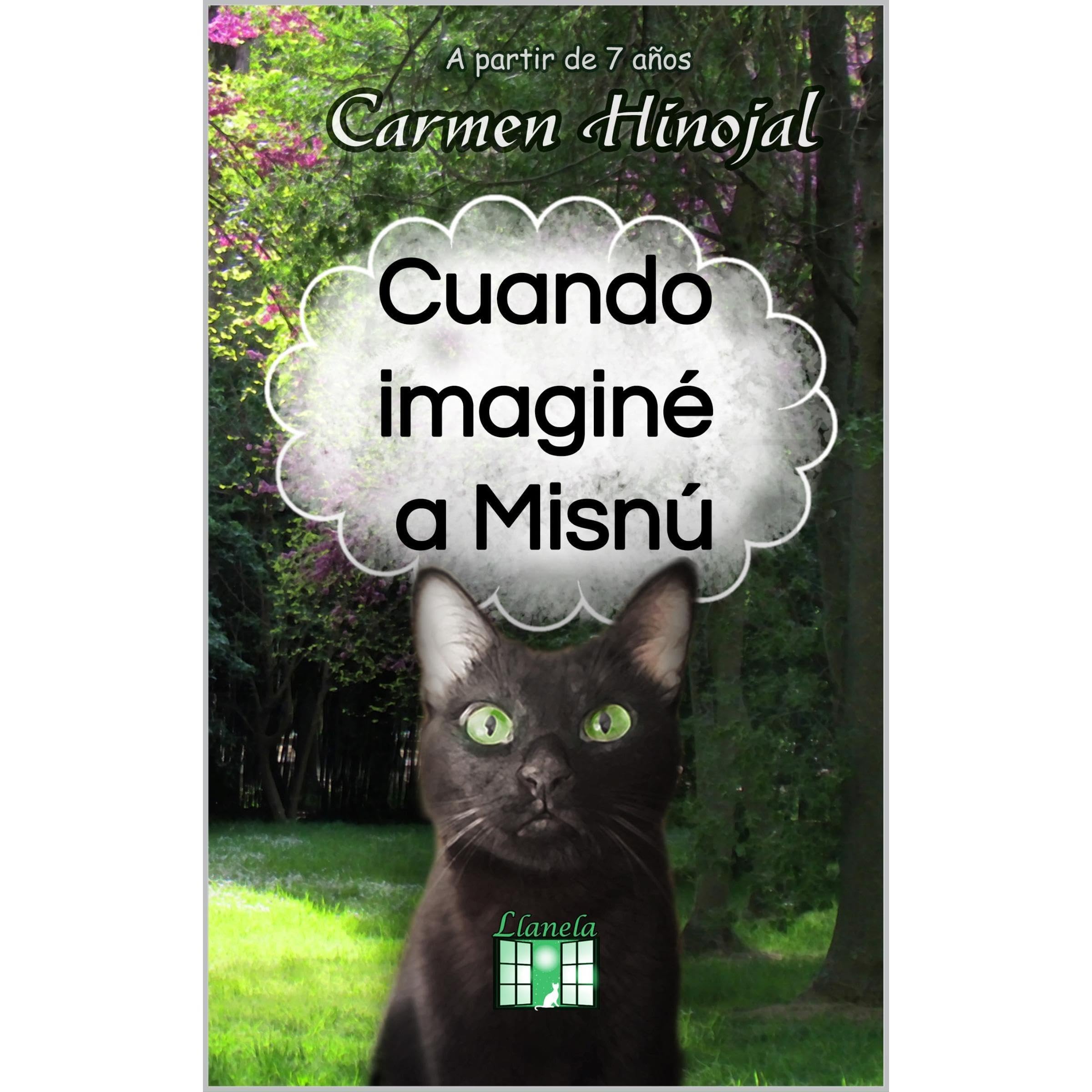 CUANDO IMAGINÉ A MISNÚ. NOVELA PARA NIÑOS. AVENTURA Y AMISTAD. LIBRO CON ILUSTRACIONES.