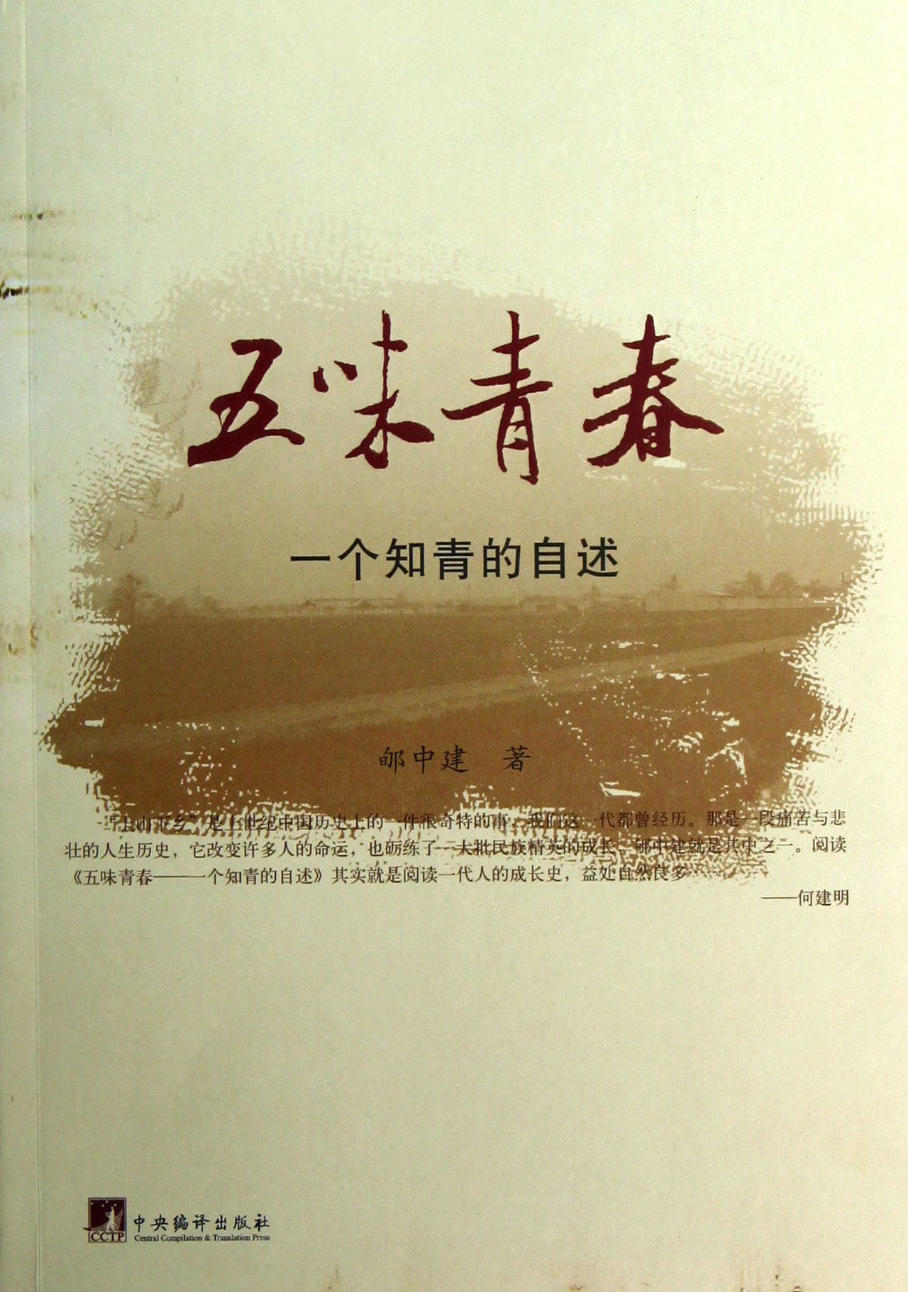 Five Flavors Youth (Chinese Edition)