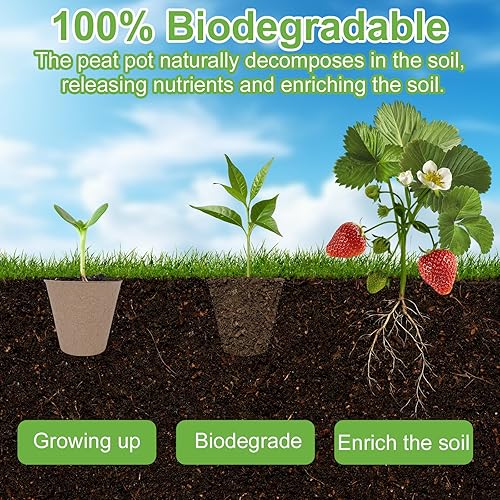 Miniatura 4 de 30 paquetes de macetas de turba, macetas de inicio de semillas de 3.1 pulgadas sin agujeros de drenaje, maceta redonda biodegradable, semillas
