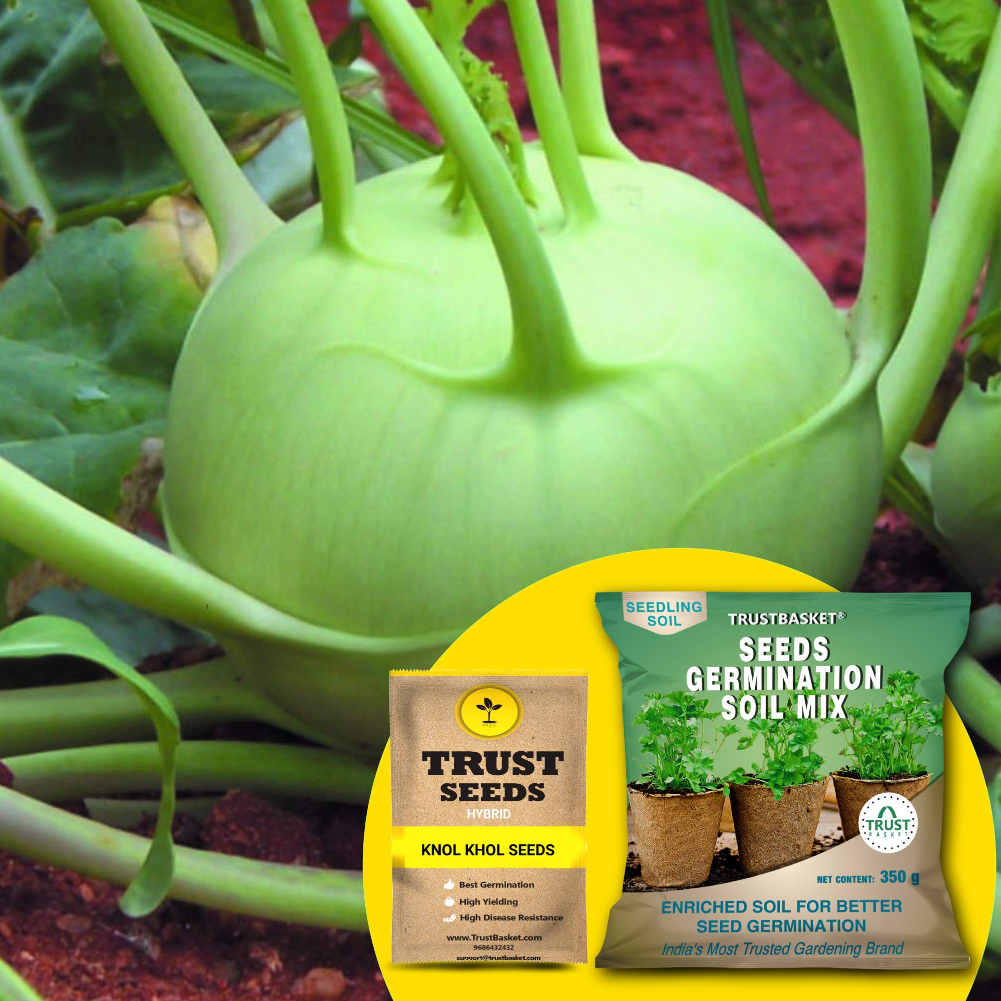 TrustBasket Premium Knol Khol (Hybrid) Seeds with Free Germination Potting Soil Mix | Sow and Grow Fresh Healthy Seed in Your Garden Perfect for Home & Terrace Gardening (B07R5B2XHL) Amazon Price History, Amazon Price Tracker