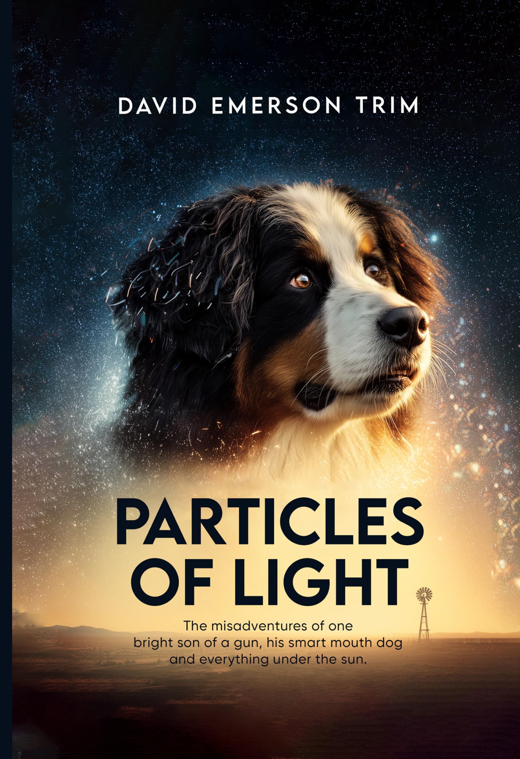 Particles of Light