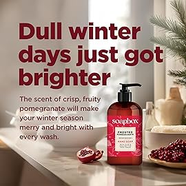 Soapbox Winter Hand Soaps, Spiced Vanilla & Frosted Pomegranate Liquid Hand Soap, Moisturizing Soap, Shea Butter & Aloe, Pack of 4, 12oz