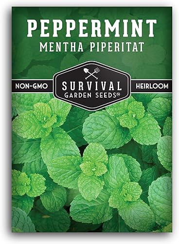 Survival Garden Seeds - Semilla de menta para plantar - Paquete de Mentha Piperita con instrucciones para plantar y cultivar deliciosa menta en tu