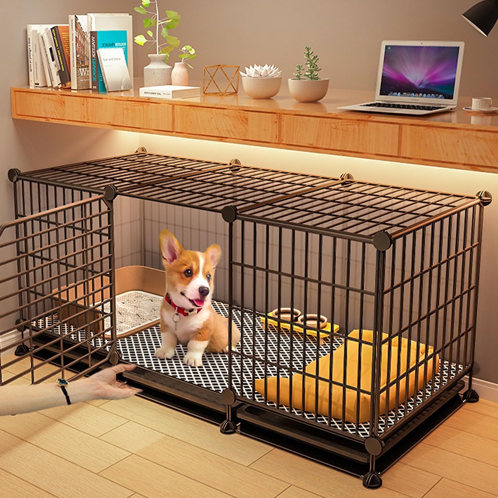 Gabbia per Cani e Gatti XXL in Metallo - Gabbia Trasporto Auto con Vassoio Lavabile e Estraibile (145 * 49 * 59cm)