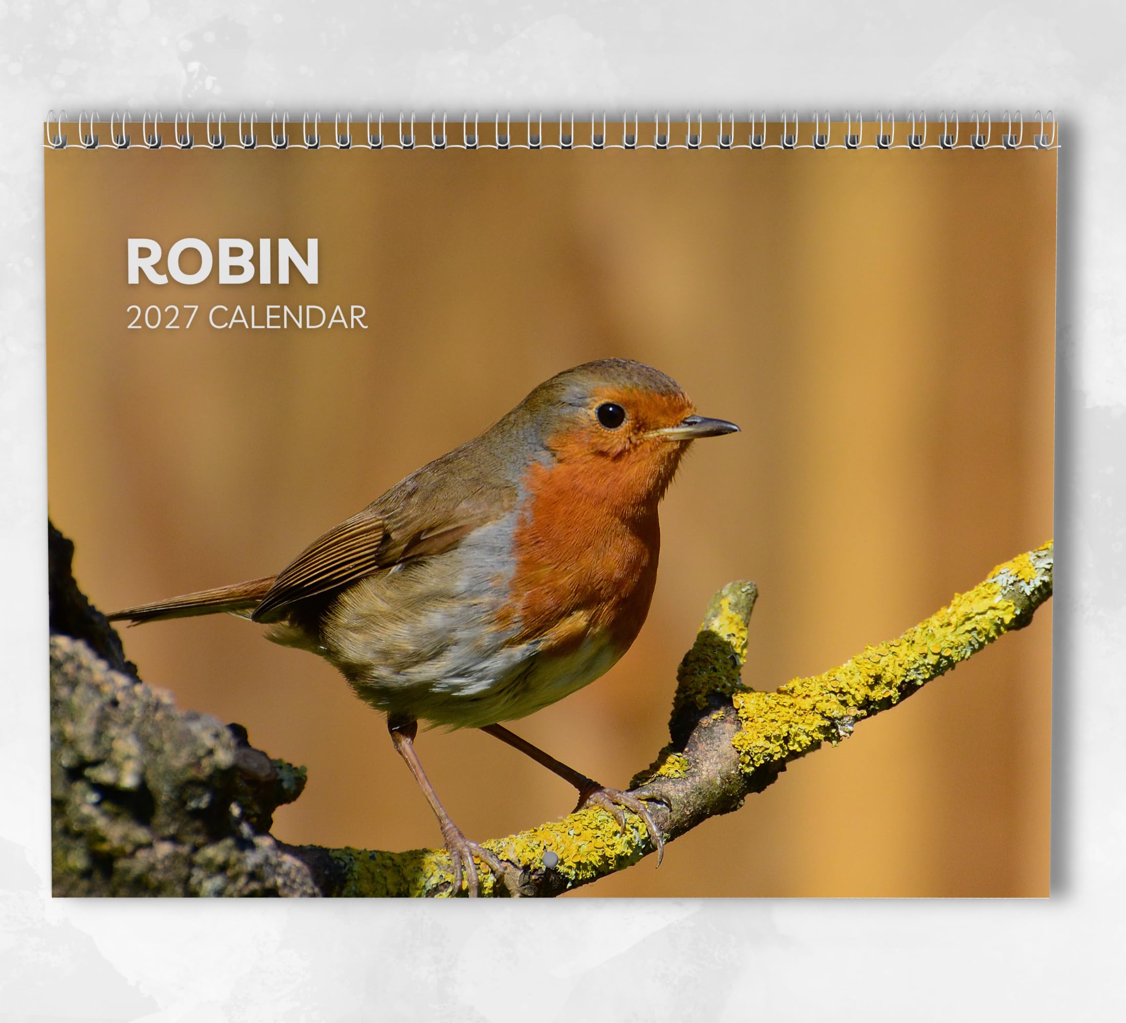 Robin Calendar 2027: Monthly Wall Calendar with Notes, Hanging A3 Size, Includes key dates & holidays