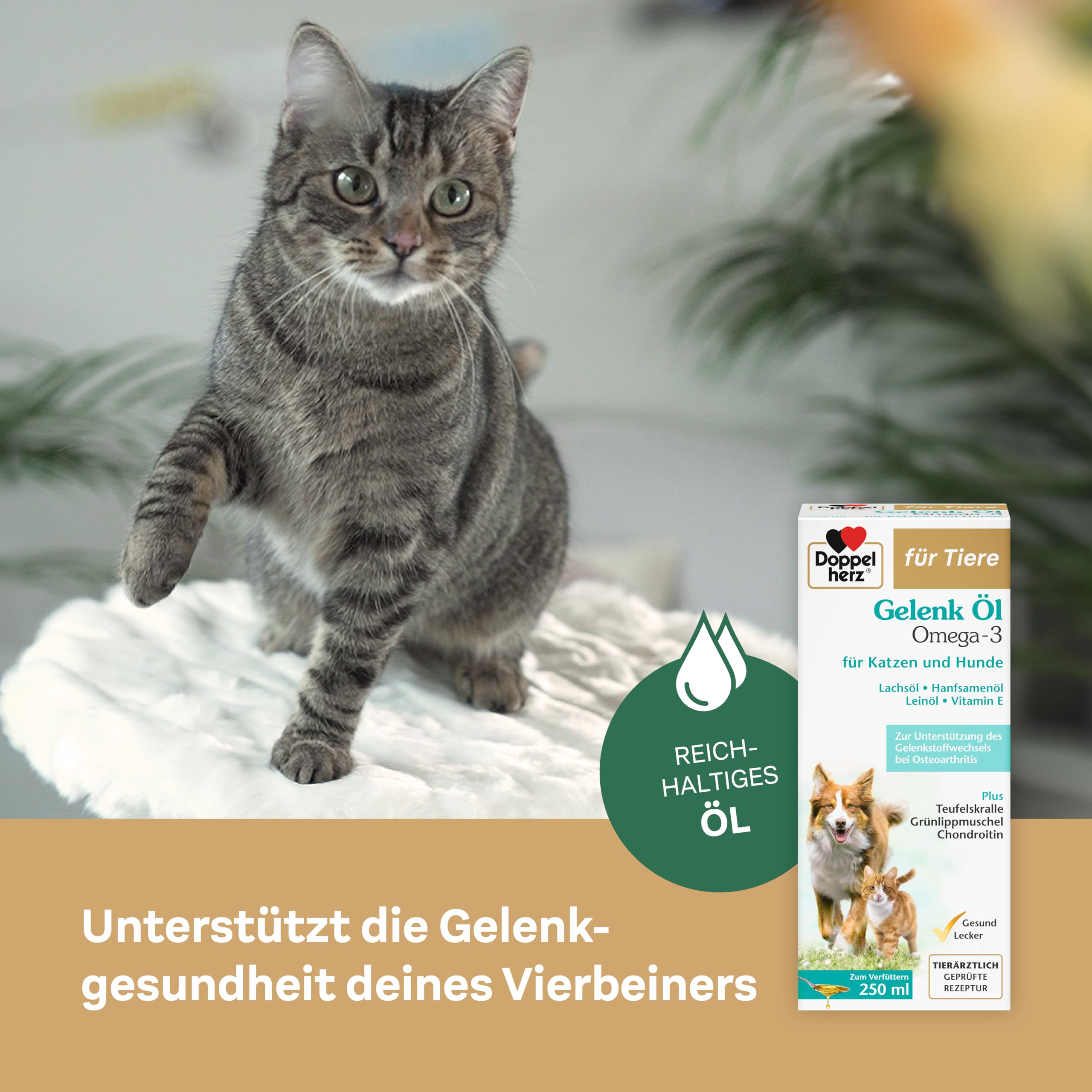 Doppelherz Huile pour articulations pour Chats et Chiens - avec acides Gras Essentiels oméga-3 + chondroïtine - 250 ML