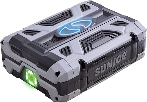 Snow Joe + Sun Joe iON100V-2.5AMP Batería de 100 voltios máx. de 2.5 amperios con puerto USB incorporado