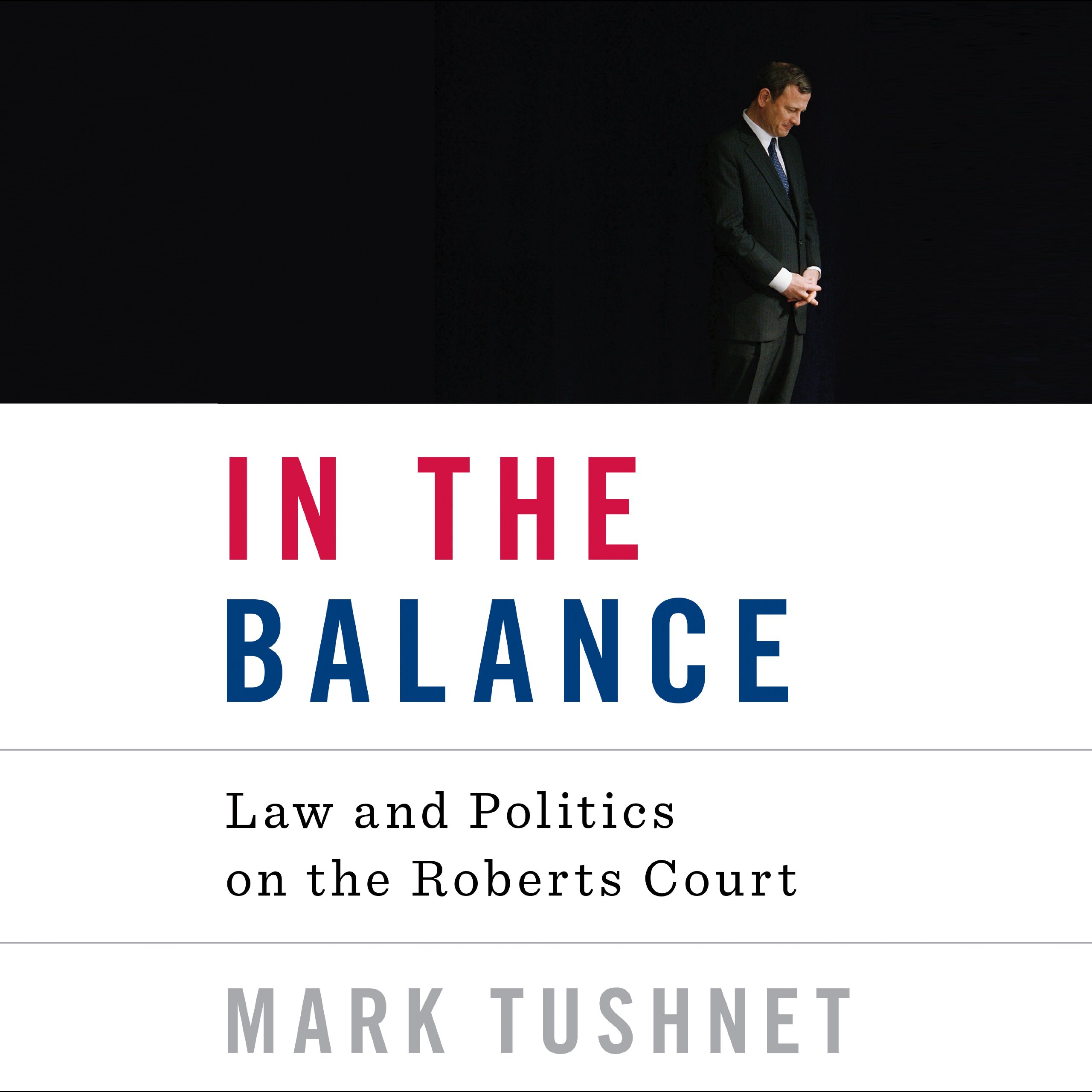 Cover art for In the Balance
