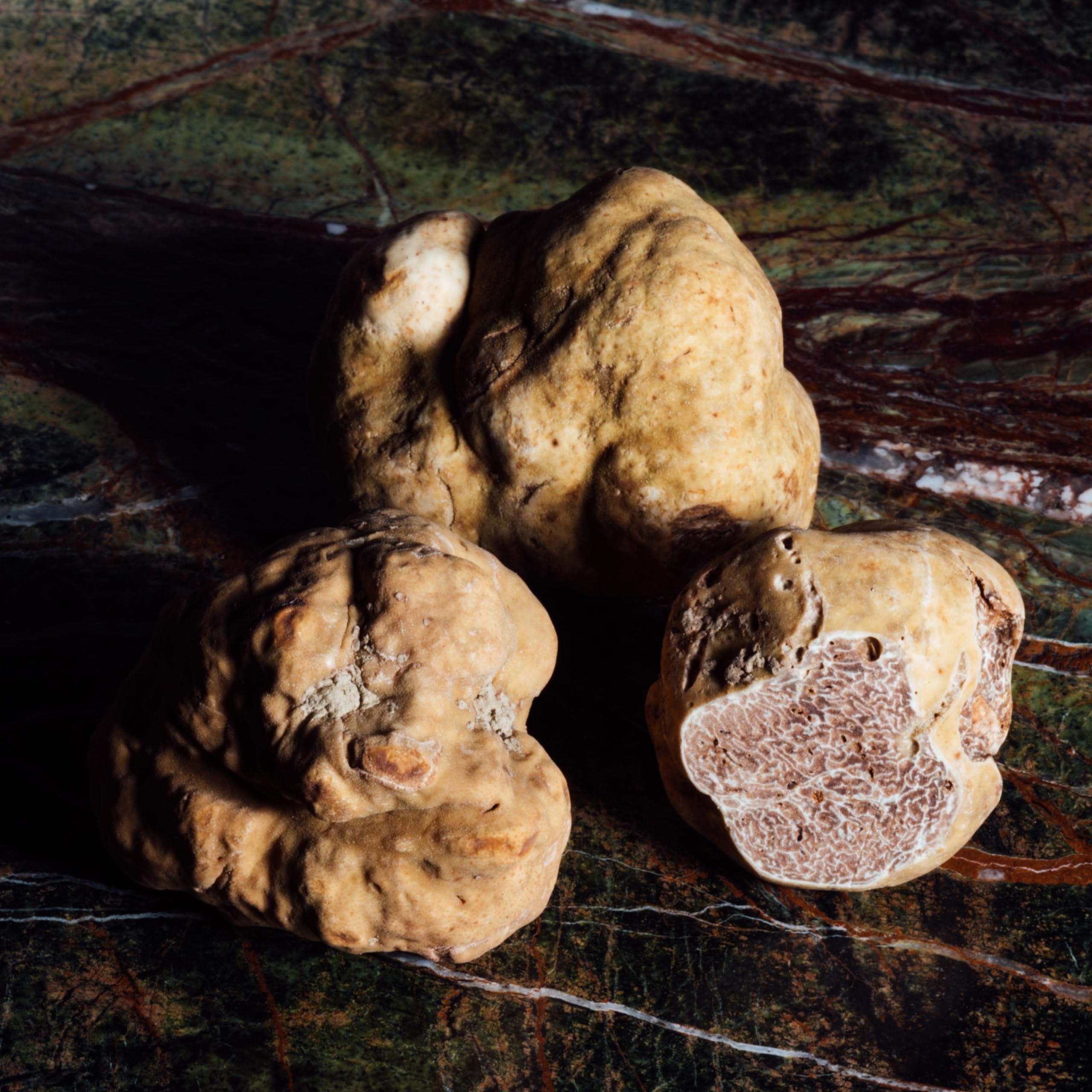 Valnerina Tartufi Tartufo Bianco Pregiato Intero | Extra Prima Scelta, Naturale, Artigianale e Italiano conservato nel proprio succo | Vasetto 25 gr.
