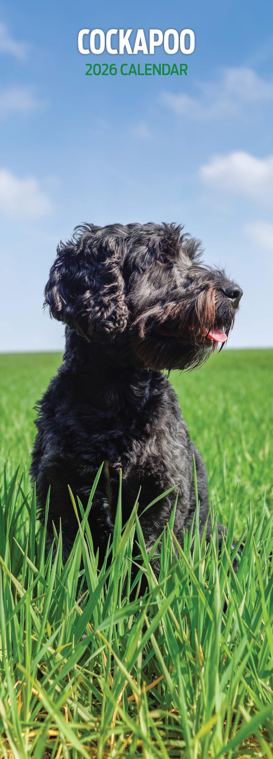Cockapoo 2026 Slim Calendar