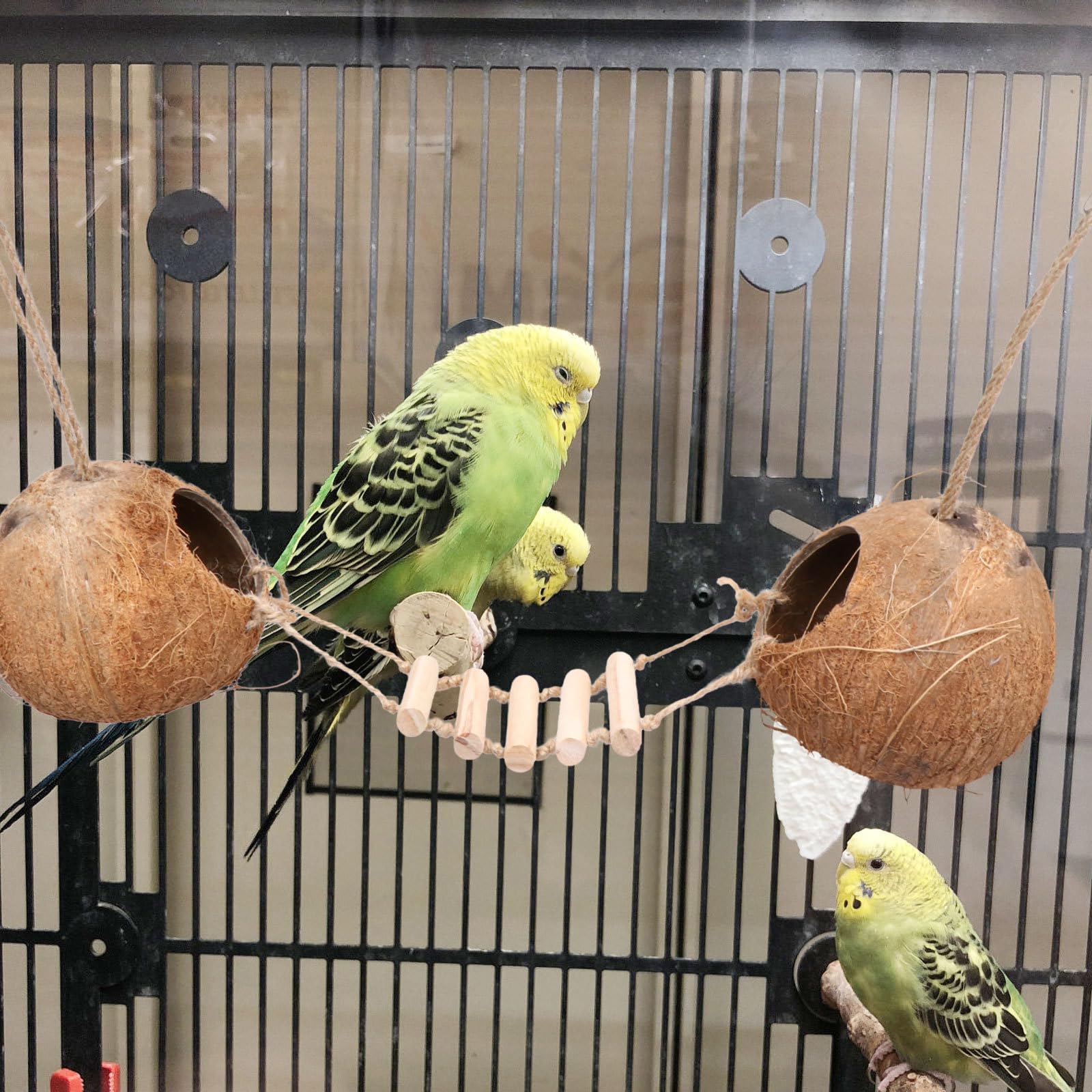 BETOOKY Vogelnest aus Natürlicher Kokosnussschale mit Holzleiter Hängendes Kleintier für Wellensittiche Kanarienvögel und Hamster