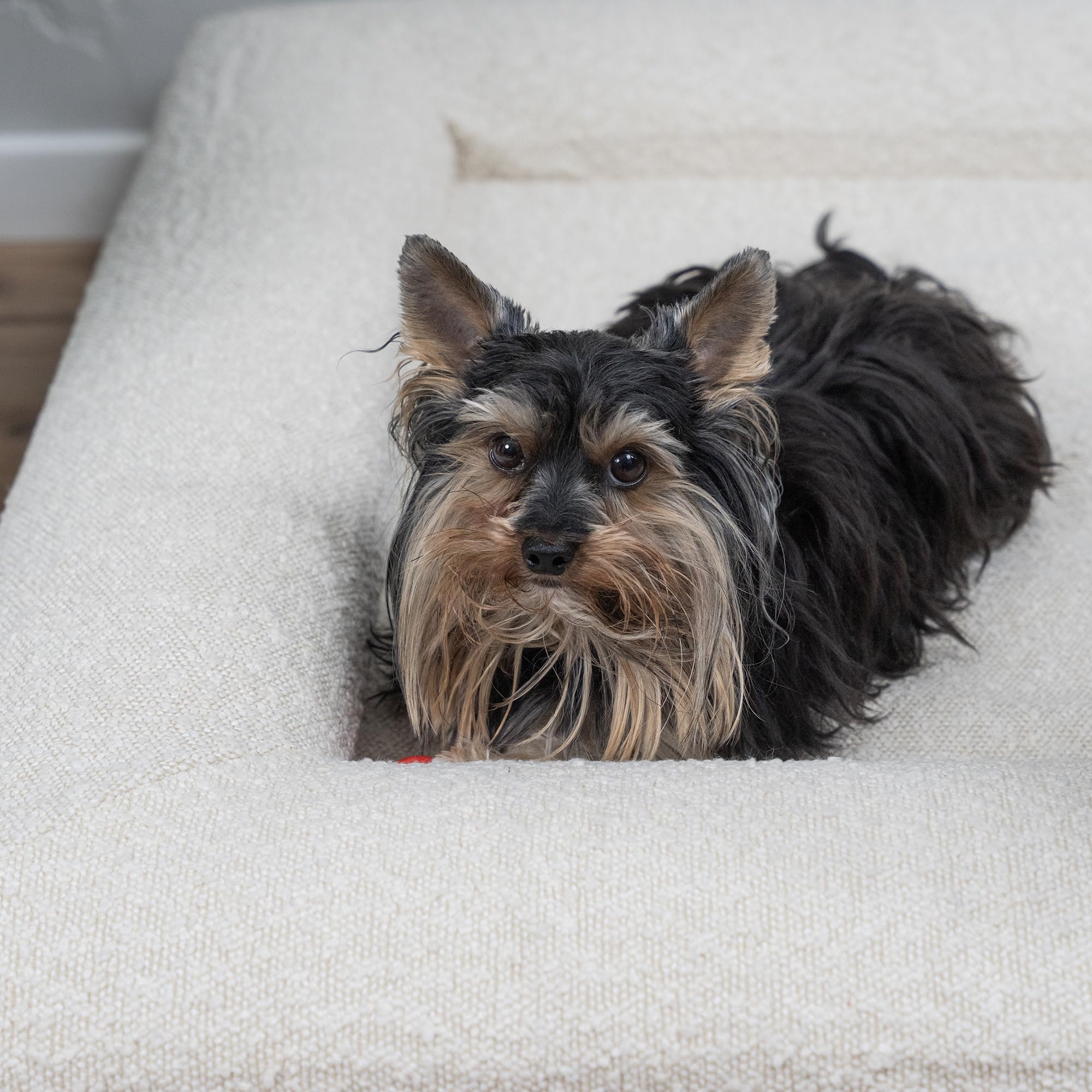 Duff® Lit Orthopédique Chien Grande Taille L (115x90 cm) – Matelas Mémoire de Forme Haute Densité – Tissu Bouclette Premium, Housse Lavable – Confort Durable & Élégant