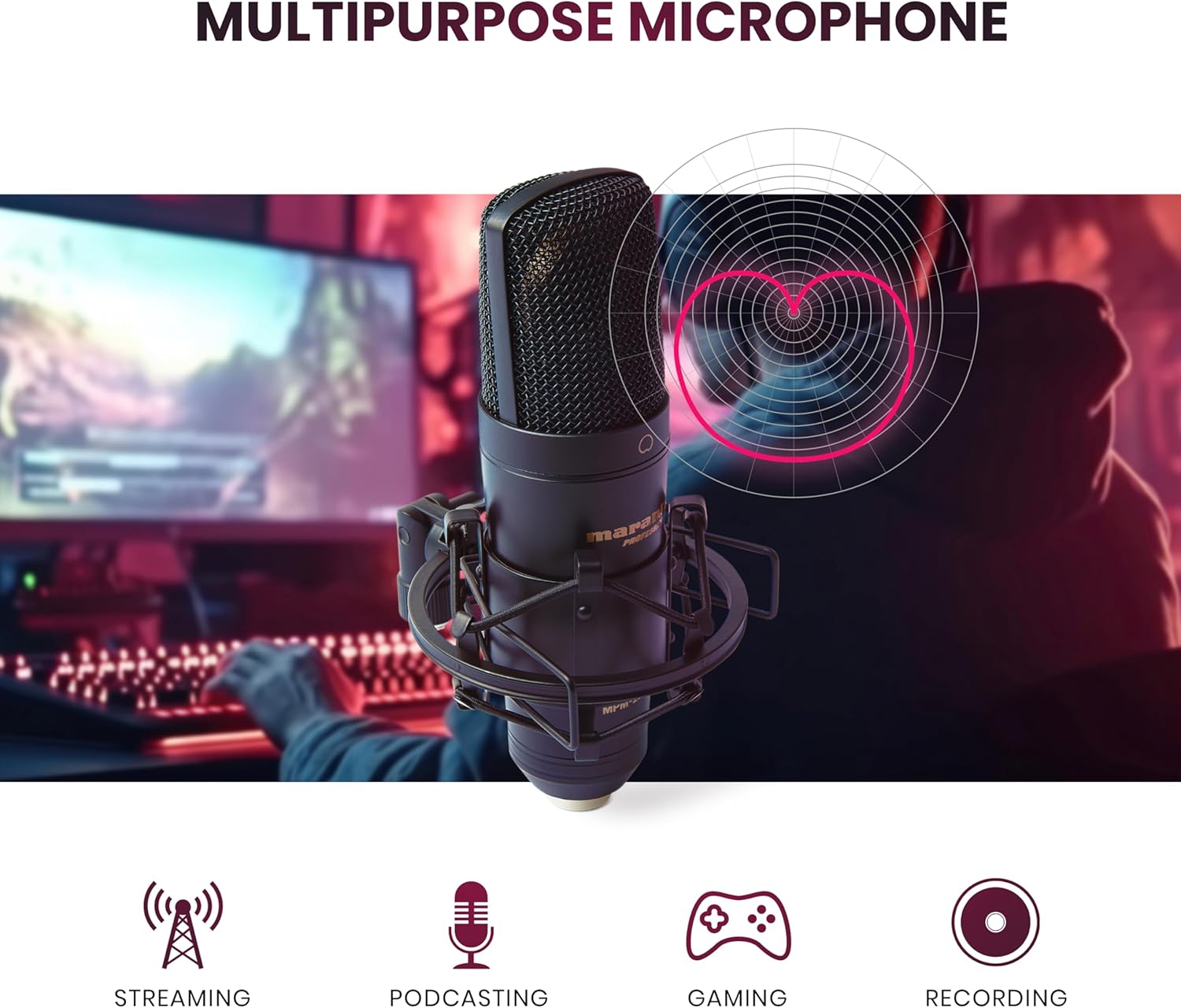 Marantz Professional MPM2000U - USB Premium Large Diaphragm Condenser Microphone With Pop-Shield, Shock-Mount and Aluminium Case