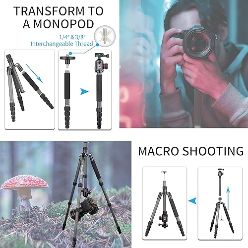 Miniatura 4 de Trípode de viaje de fibra de carbono de 10 capas Monopod-INNOREL RT55C con cabeza de bola panorámica de 360 grados y estuche de transporte, trípodes