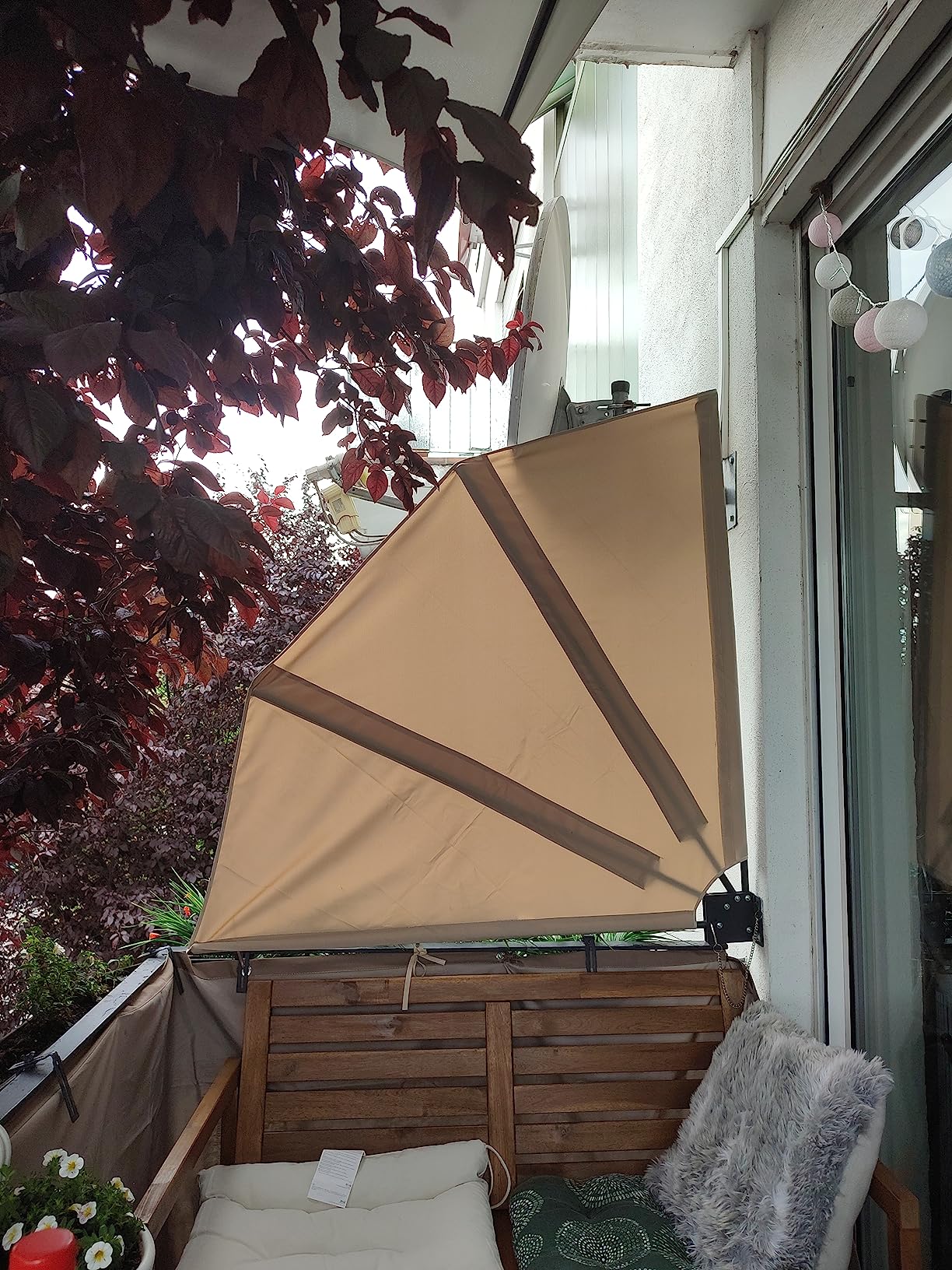 Amazon.de QUICK STAR Sichtschutz Fächer 115 x 115 cm Sand mit