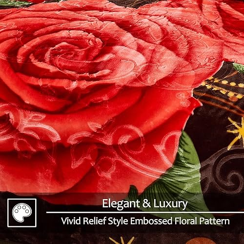 Miniatura 5 de JYK Manta de visón coreano, tamaño Queen de 75 x 87 pulgadas, 5 libras, 2 capas reversibles de 520GSM, suave y sedosa, manta de forro polar cálido