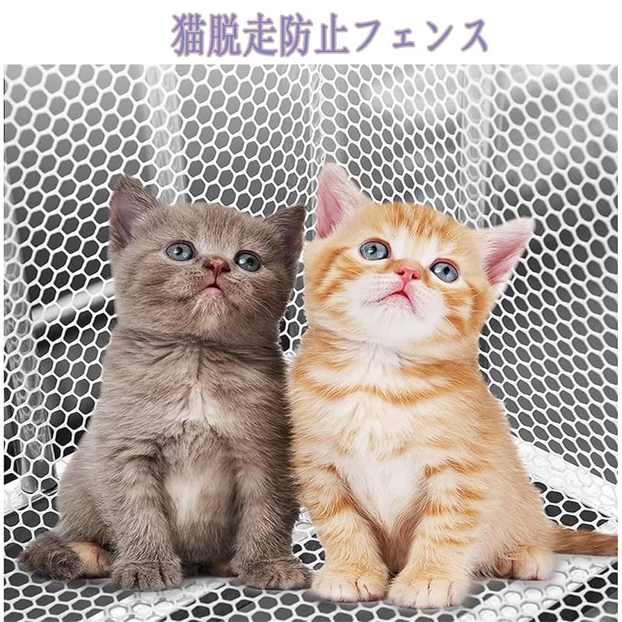 NEWS 落下物　まとめ売り 楽天市場】[全品10％OFF×15日限定クーポン]プラスチックネット
