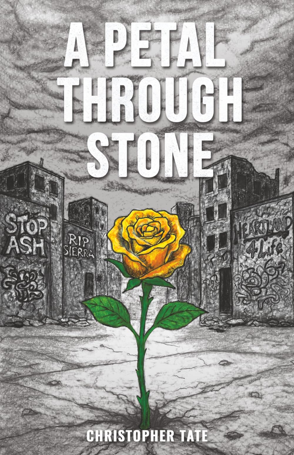 A Petal Through Stone