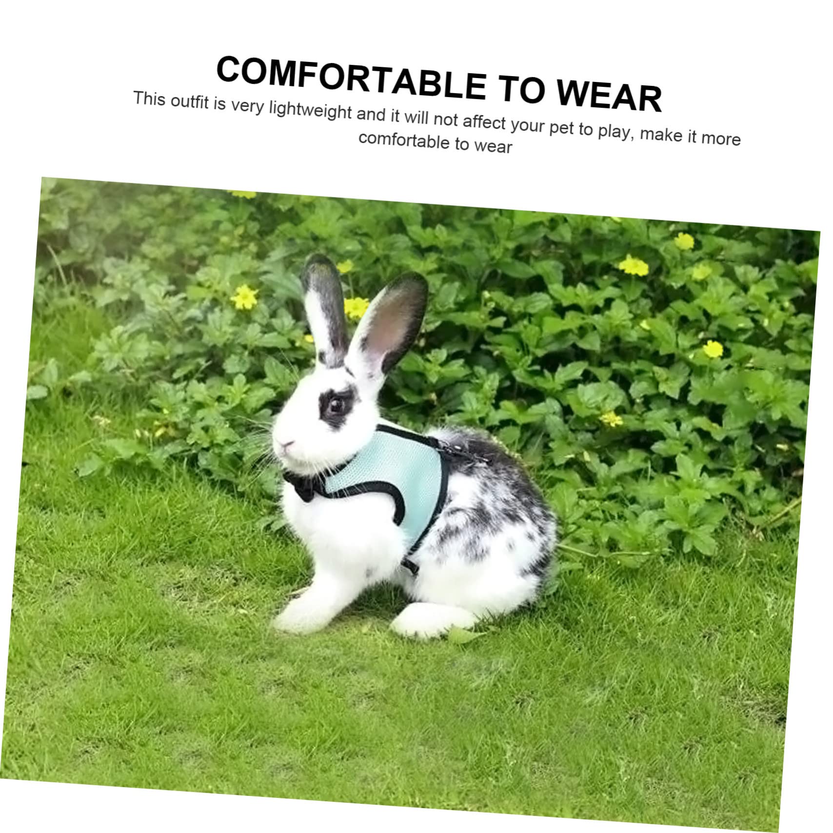 BESPORTBLE 12stücke Kühles Mesh-Geschirr Für Kleine Haustiere Inklusive Leine Für Outdoor- Mit Kaninchen Hamstern Und Meerschweinchen Zufällige Auswahl