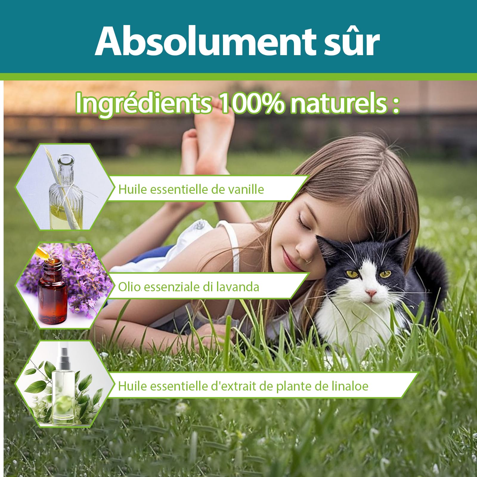 Collier Anti-puces pour Chat, Sûr Et Efficace Collier Anti Tique Chat, Fabriqué avec des Huiles Essentielles Naturelles, Adapté Aux Petits, Moyens Et Grands Chats, Efficace Pendant 10 Mois (48cm)
