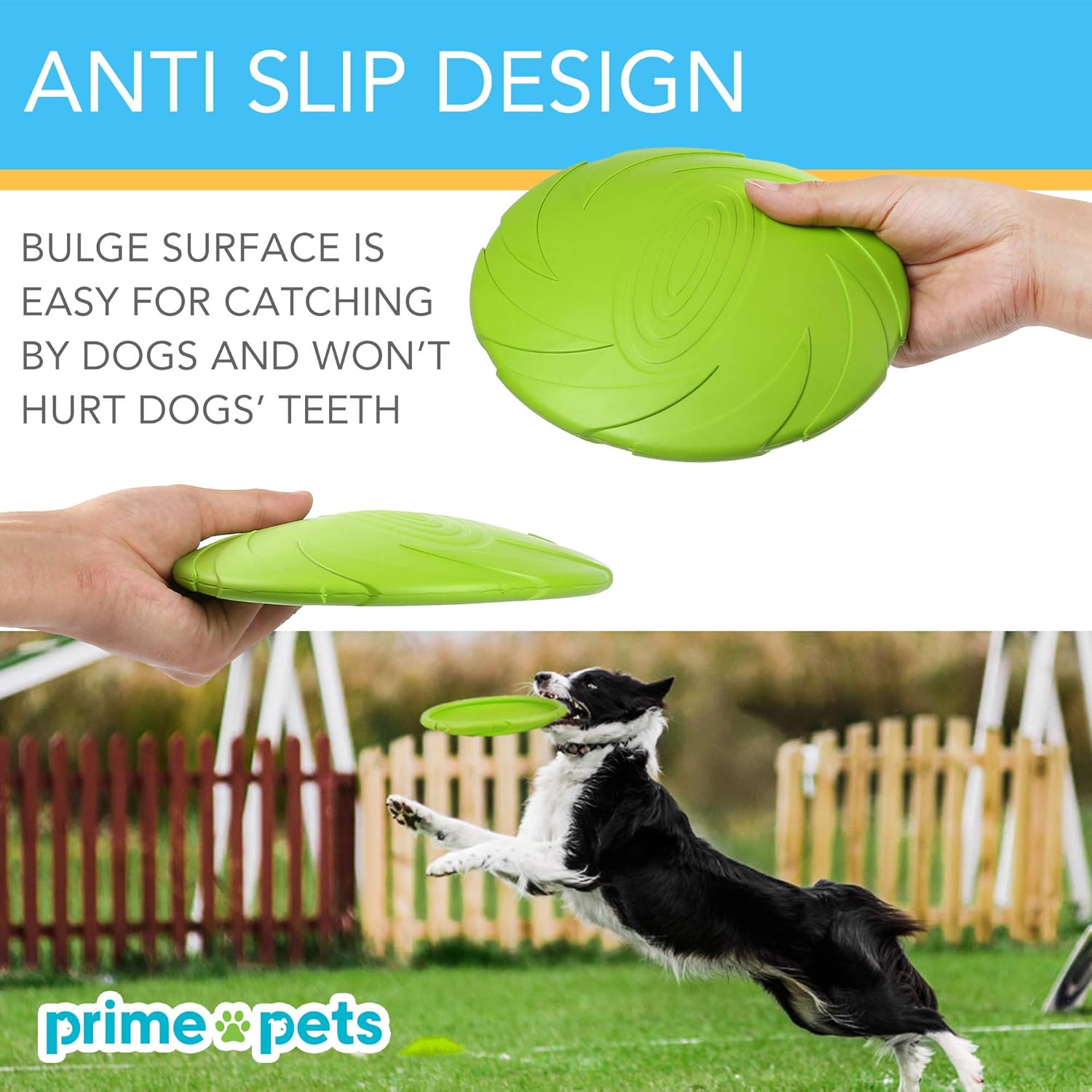 bulk frisbees for dogs