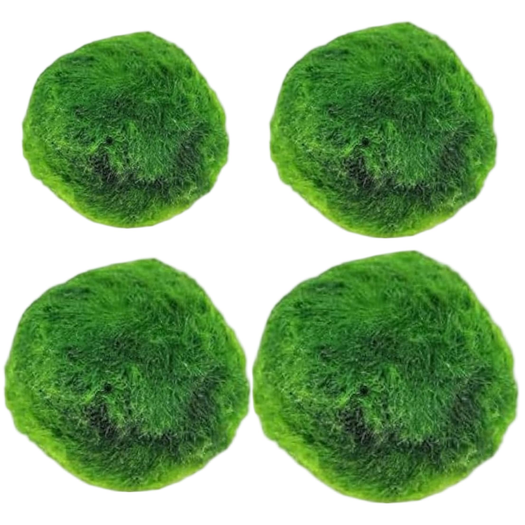 Syutokul Marimo Moss Balls Live, Aquarium Moss Decorative Green Algae Balls 4PCS Assorted Sizes 0.79-1.30 Inch (After Soaking)