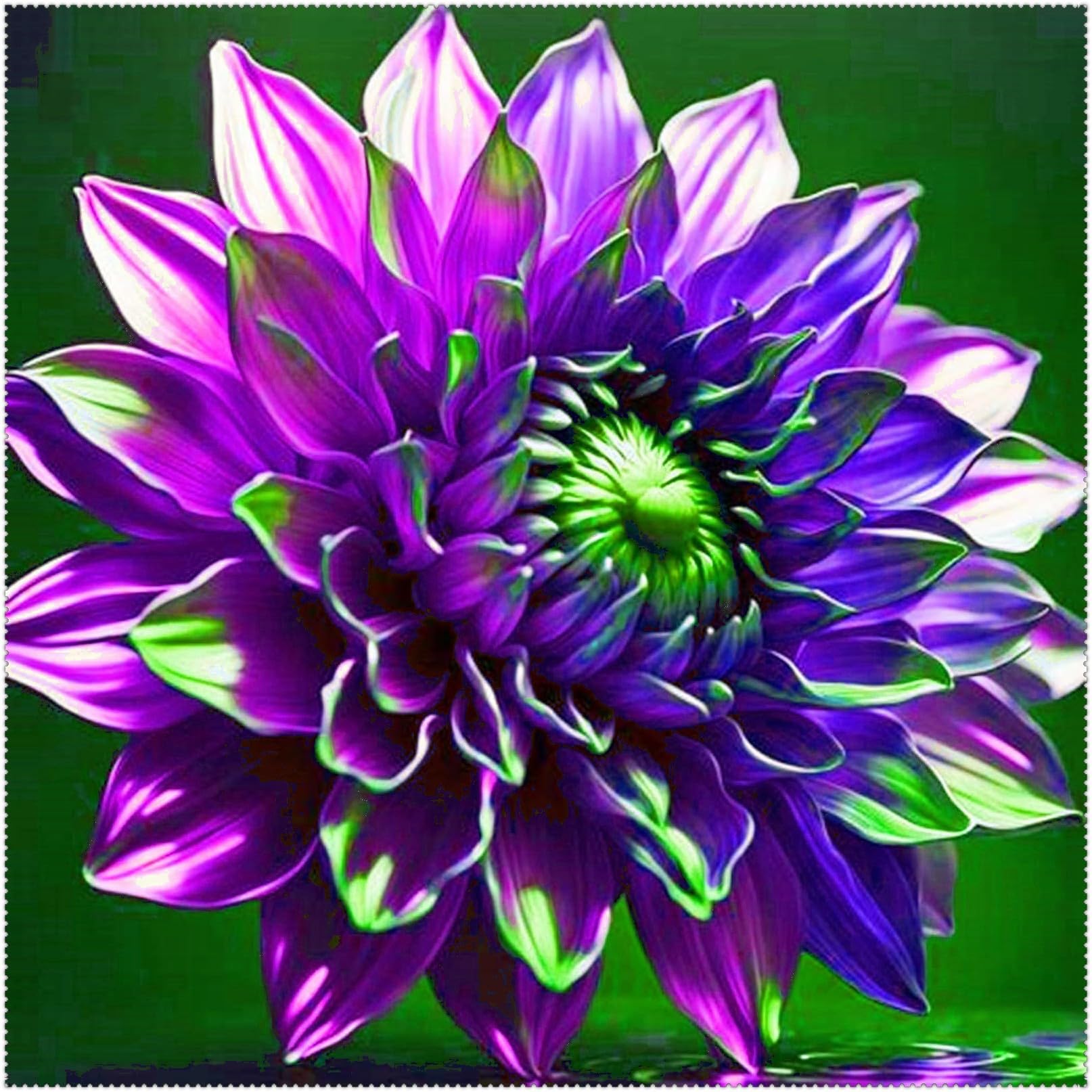 Dahlia Bulbs Mix for Planting Now UK/Cut Flowers/Greening Flower/Strong Plants That Grow Well/Good for Containers/Natural Organic/Wedding Flowers.-4bulbs-G
