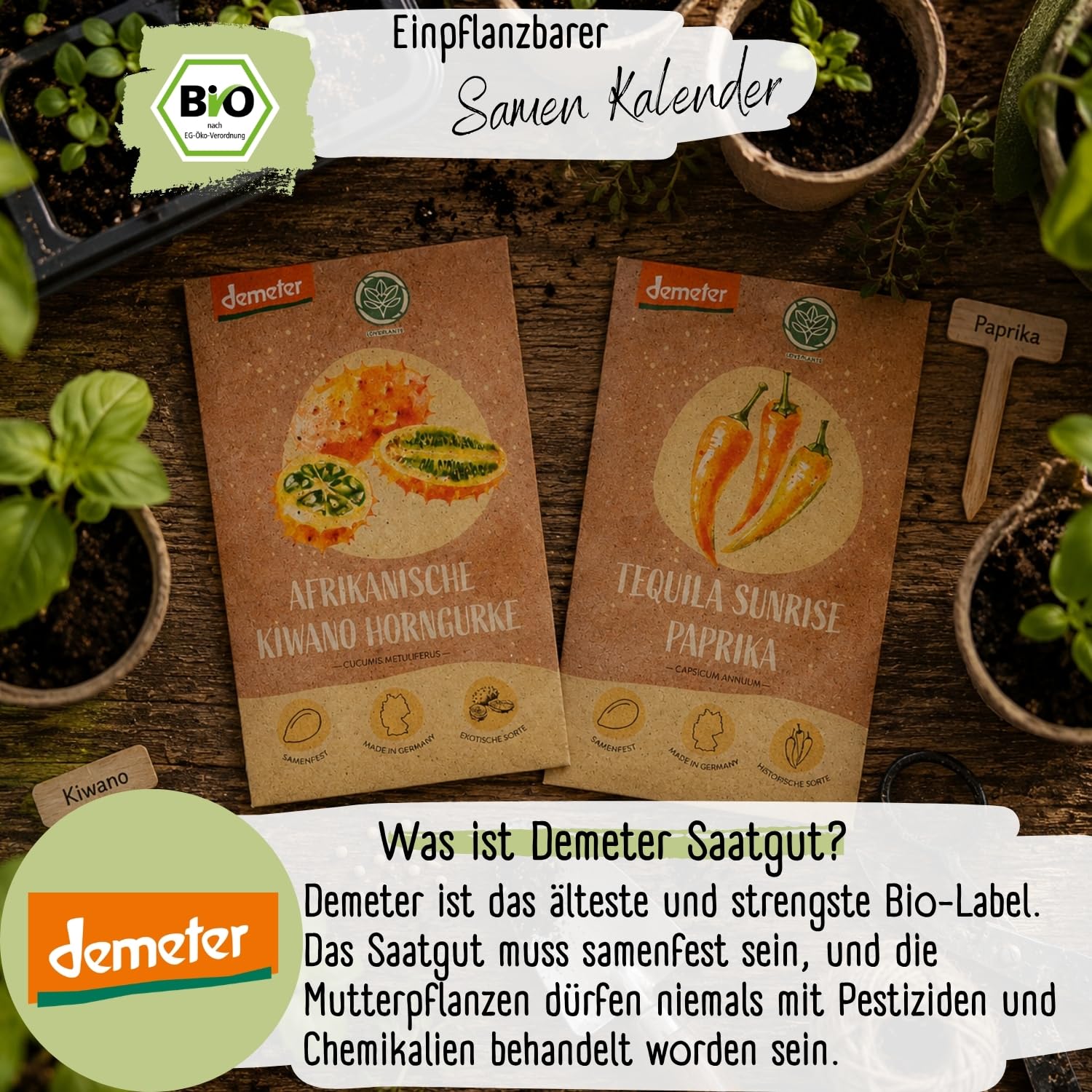 Bio Saatgut Kalender 2027 – Garten Wandkalender A4 mit 12 Sorten Demeter Gemüse Samen | Einpflanzbarer Monatskalender von Loveplants mit Aussaatkalender | Geschenkideen für deine Gartenfreunde