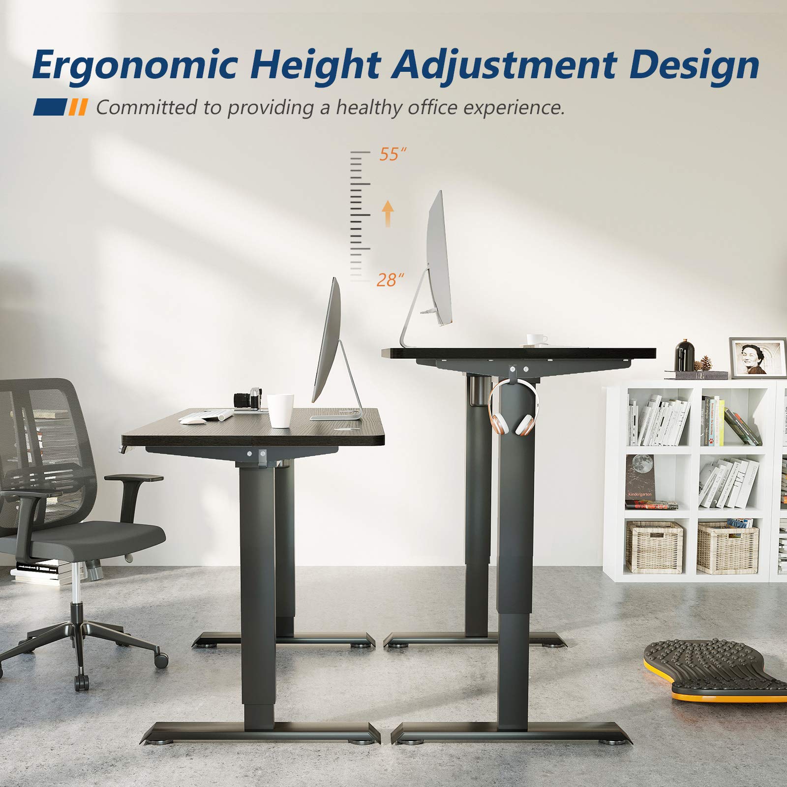 KKL 48inch Height Adjustable Electric Standing Desk, 48 x 24 Inches