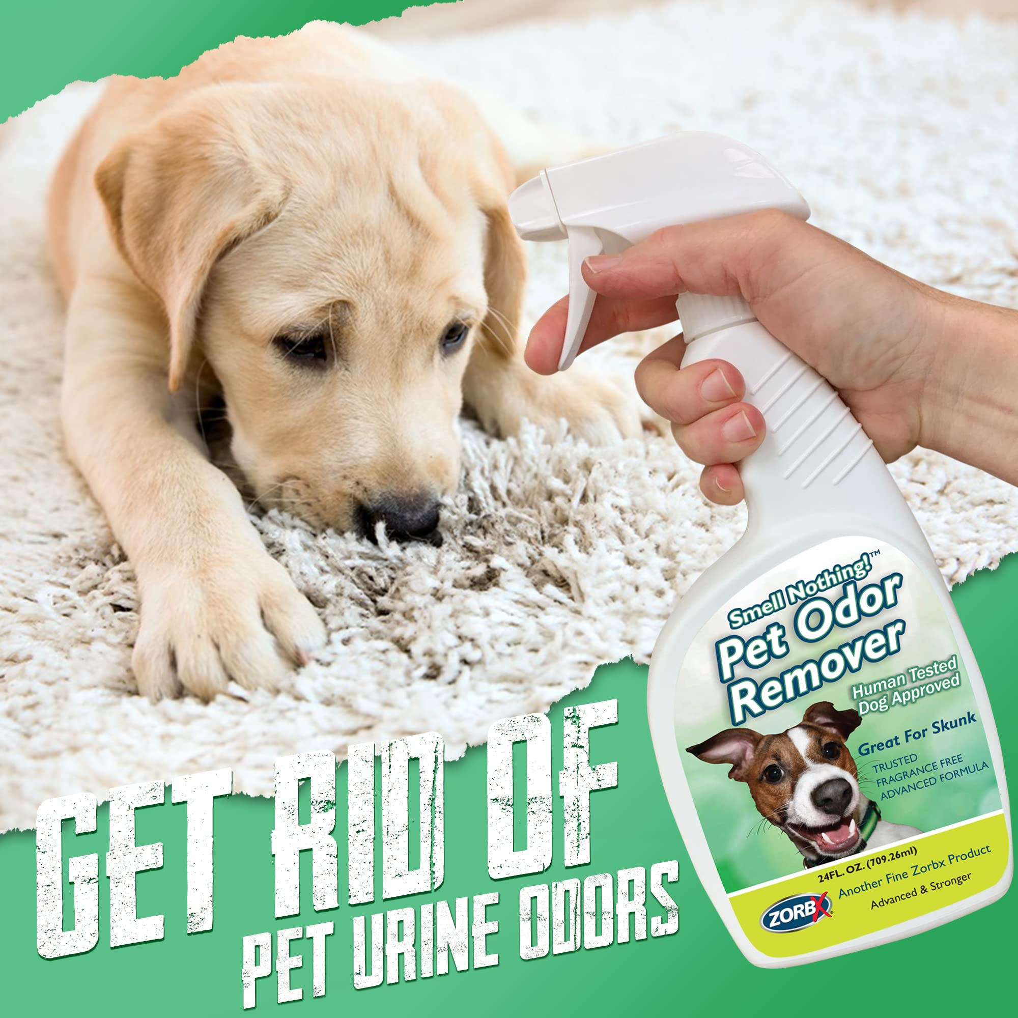How To Keep Labradors From Stinking