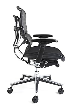 Amazon.co.jp: 【旧型】 エルゴヒューマン ベーシック オフィス