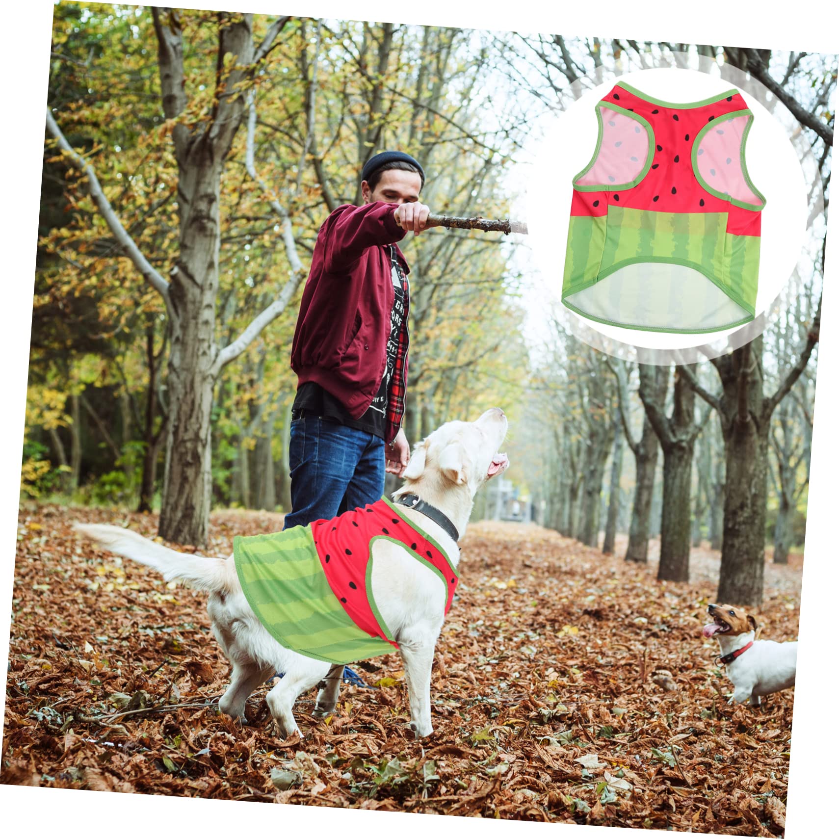 Gilet Rafraîchissant pour Chien Pastèque, Soie, Tailles L XL, D'été