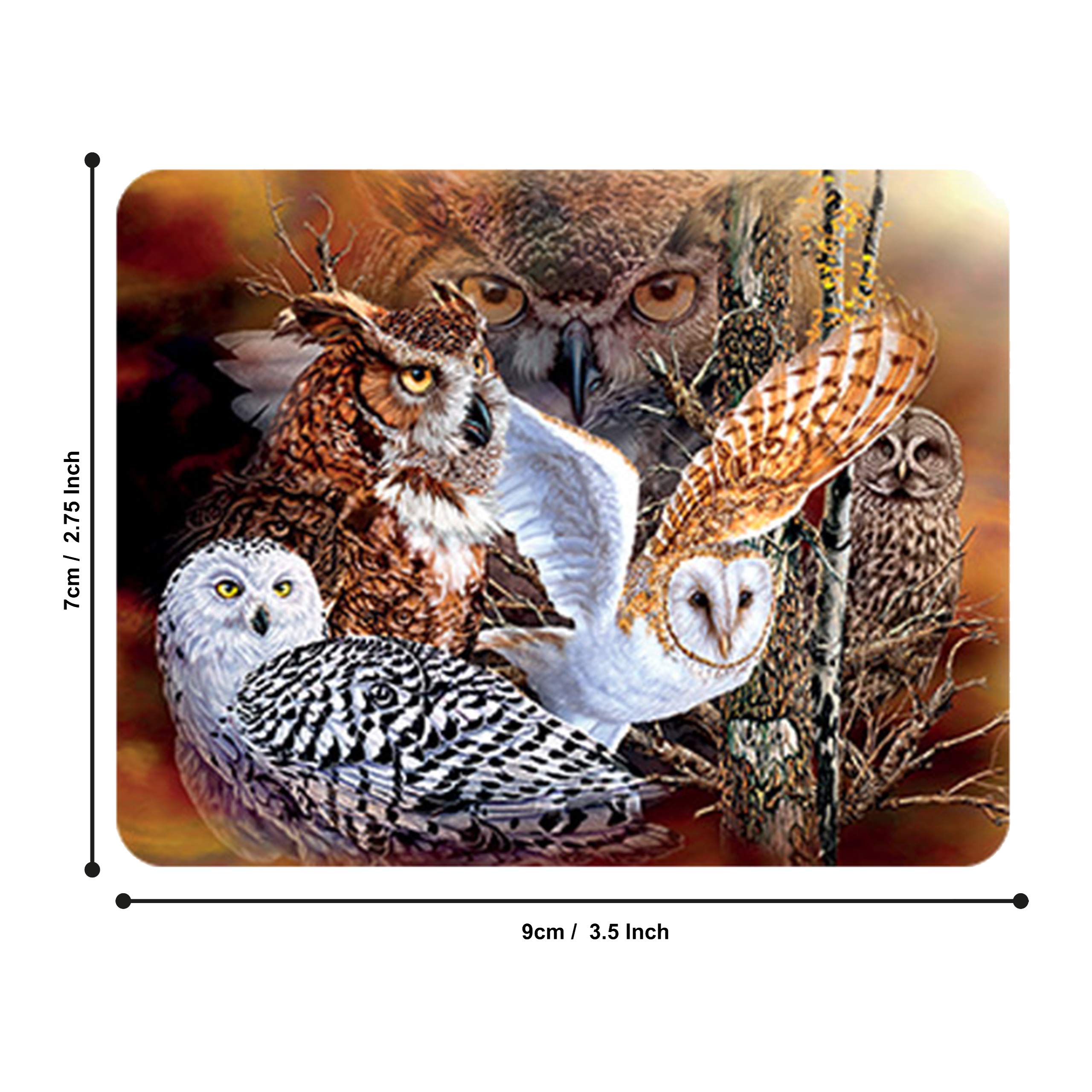 Calamita 3D LiveLife - La Natura è Casa di Deluxebase. Calamita da Frigorifero 3D Lenticolare con Uccelli. Decorazioni magnetiche per bambini e adulti con opera d'arte del celebre David Penfound