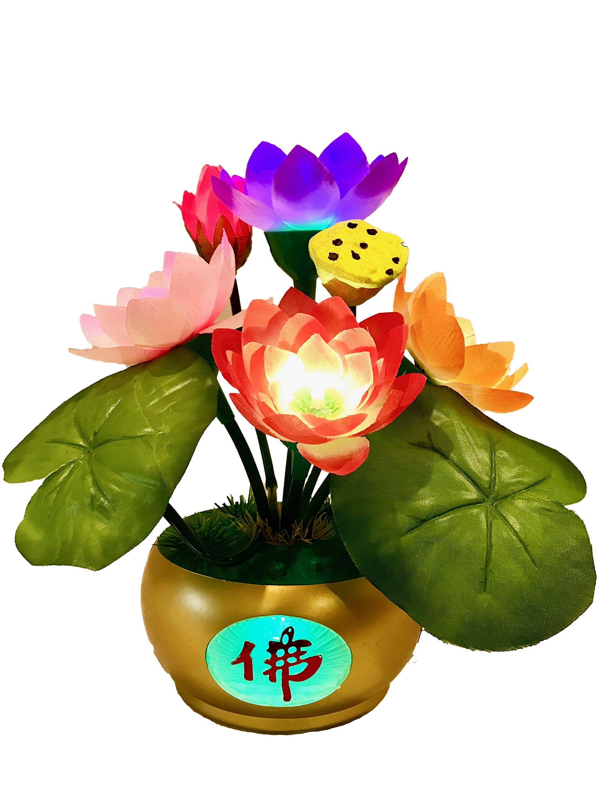 Amazon | ブッダマシーン