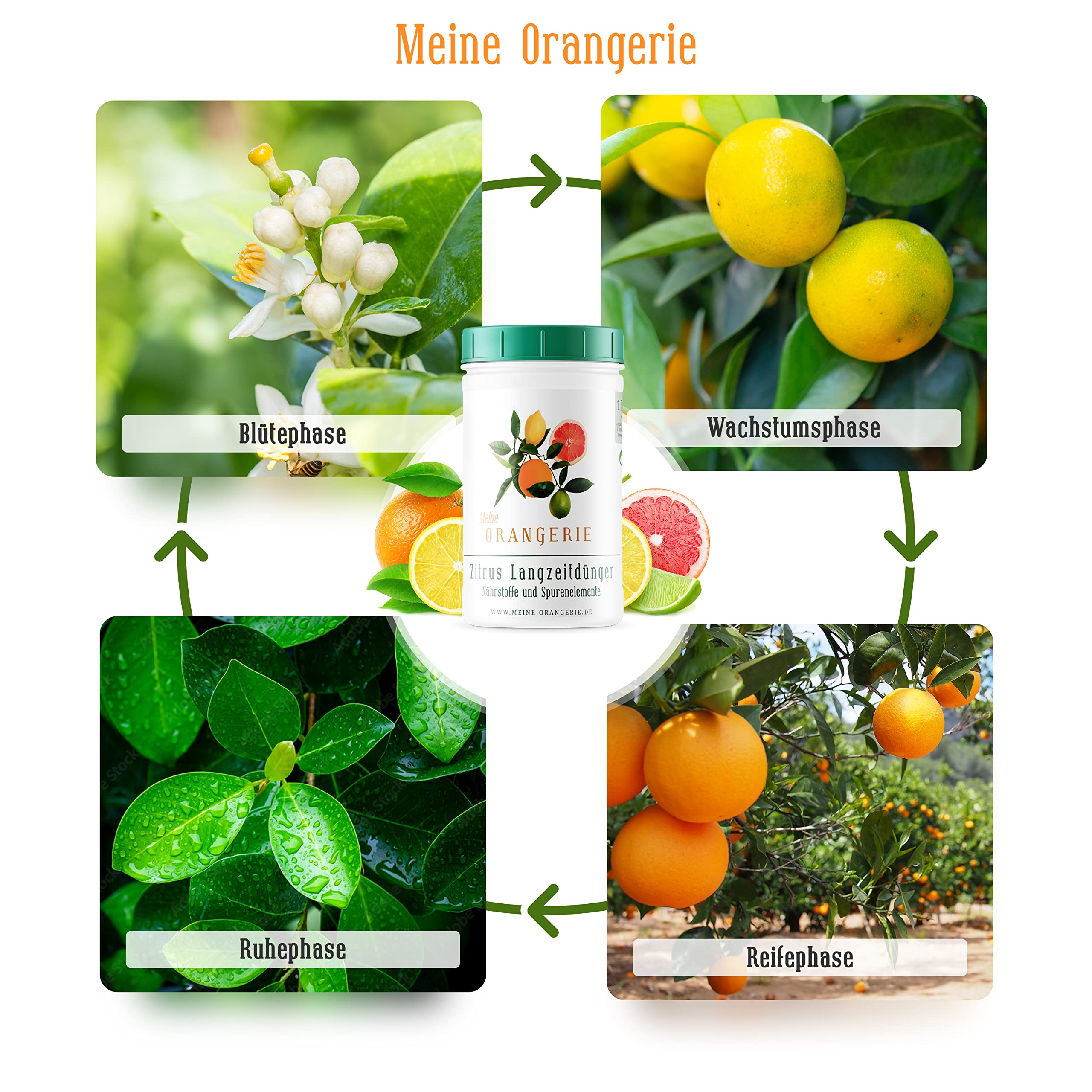 Meine Orangerie - Langzeit-Zitrusdünger [1kg] - Profi Zitruspflanzendünger - Gleichmäßige Langzeit-Wirkung für 6 Monate - Langzeit Zitrusdünger für Citruspflanzen und mediterrane Pflanzen