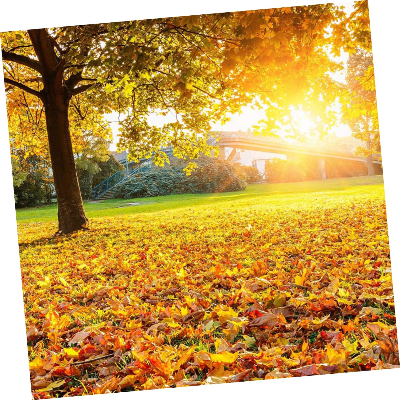 1500stücke Künstliche Ahornblätter Herbstdekoration Für Hochzeit Erntedankfest Und Partys Farbmischung Für Kreative -projekte Und Herbstliche Arrangements