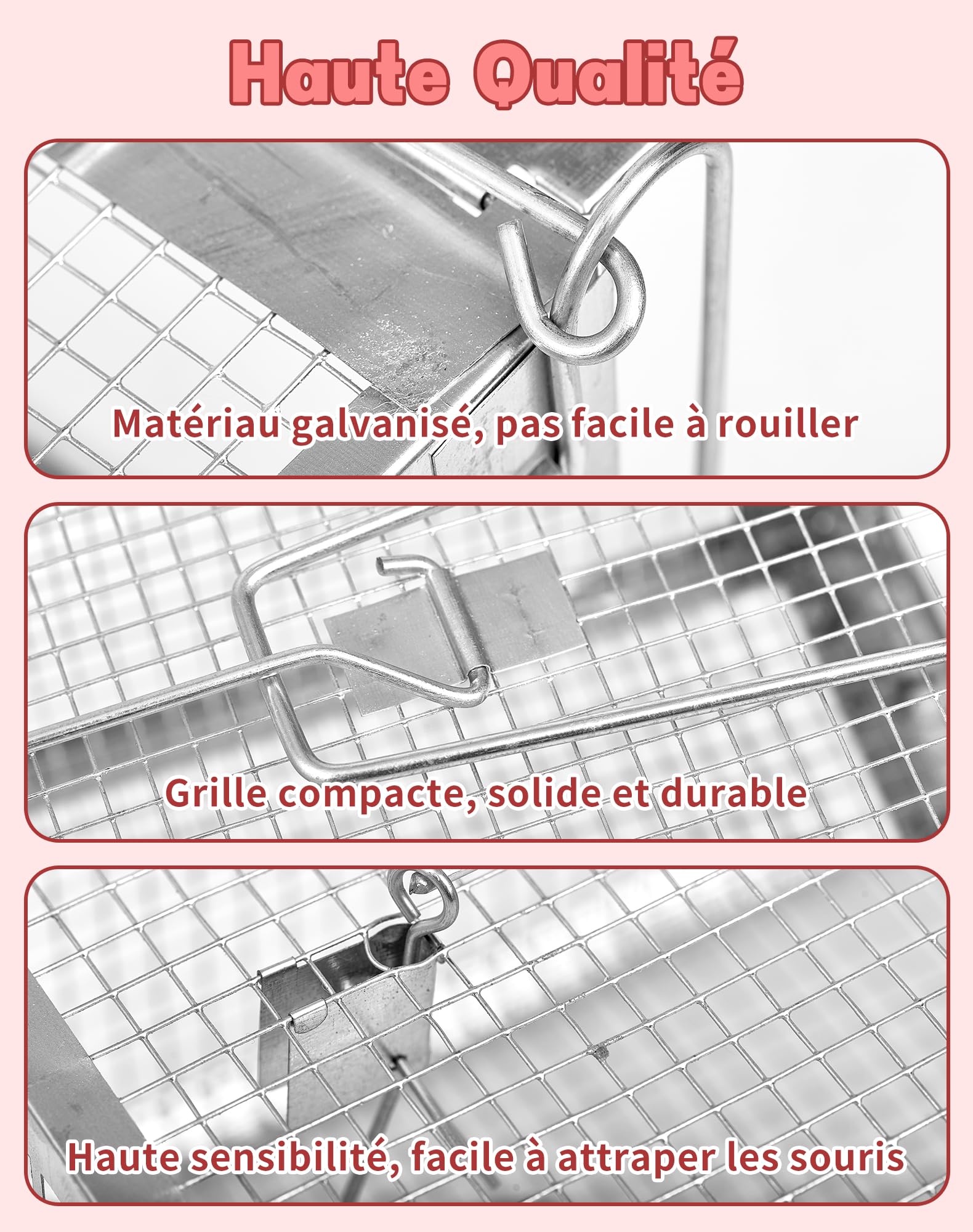 LAOYE Piège à Rat Cage Attrape Souris 2 Pcs Pièges à Rats Rongeurs Professionnel Extérieure Métal Grande Taille
