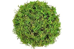 2 Pack Artificial Moss Floral Decorative Fake Moss for Pot Plants, Garden Crafts, and Flowers