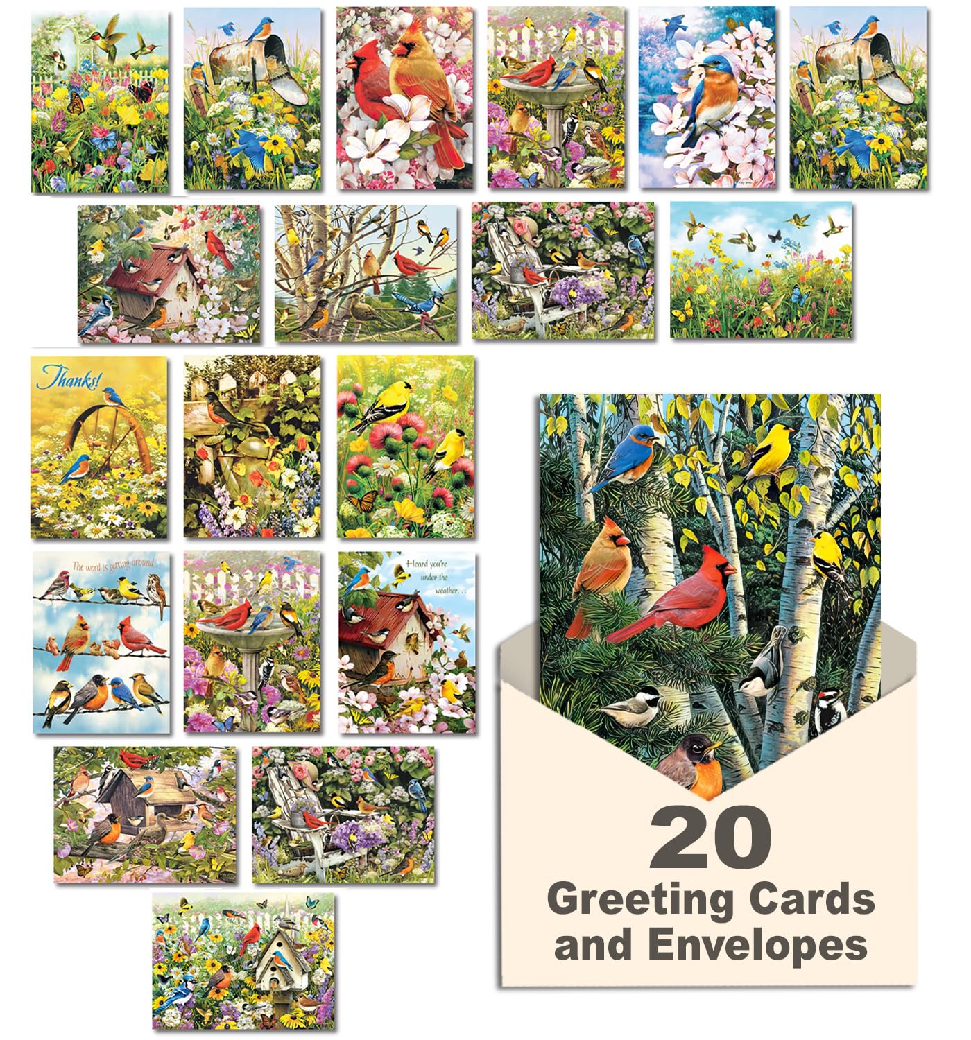 Leanin' Tree, Wings and Wishes, Greeting Cards Assortment Box, Assorted Cards with Envelopes All Occasion, (20 Greeting Cards, 22 Colorful Envelopes)