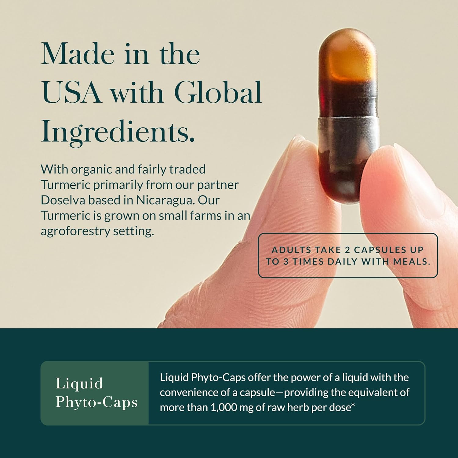 Gaia Herbs Turmeric Supreme Ache- Helps Provide Relief of Occasional Aches - with Turmeric Curcumin, Black Pepper, Devil’s Claw, Ginger, Feverfew & More - 120 Liquid Phyto-Capsules(60-Day Supply) - Image 4