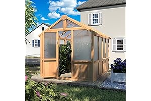 Deluxe Spacious Backyard 6x8 Greenhouse