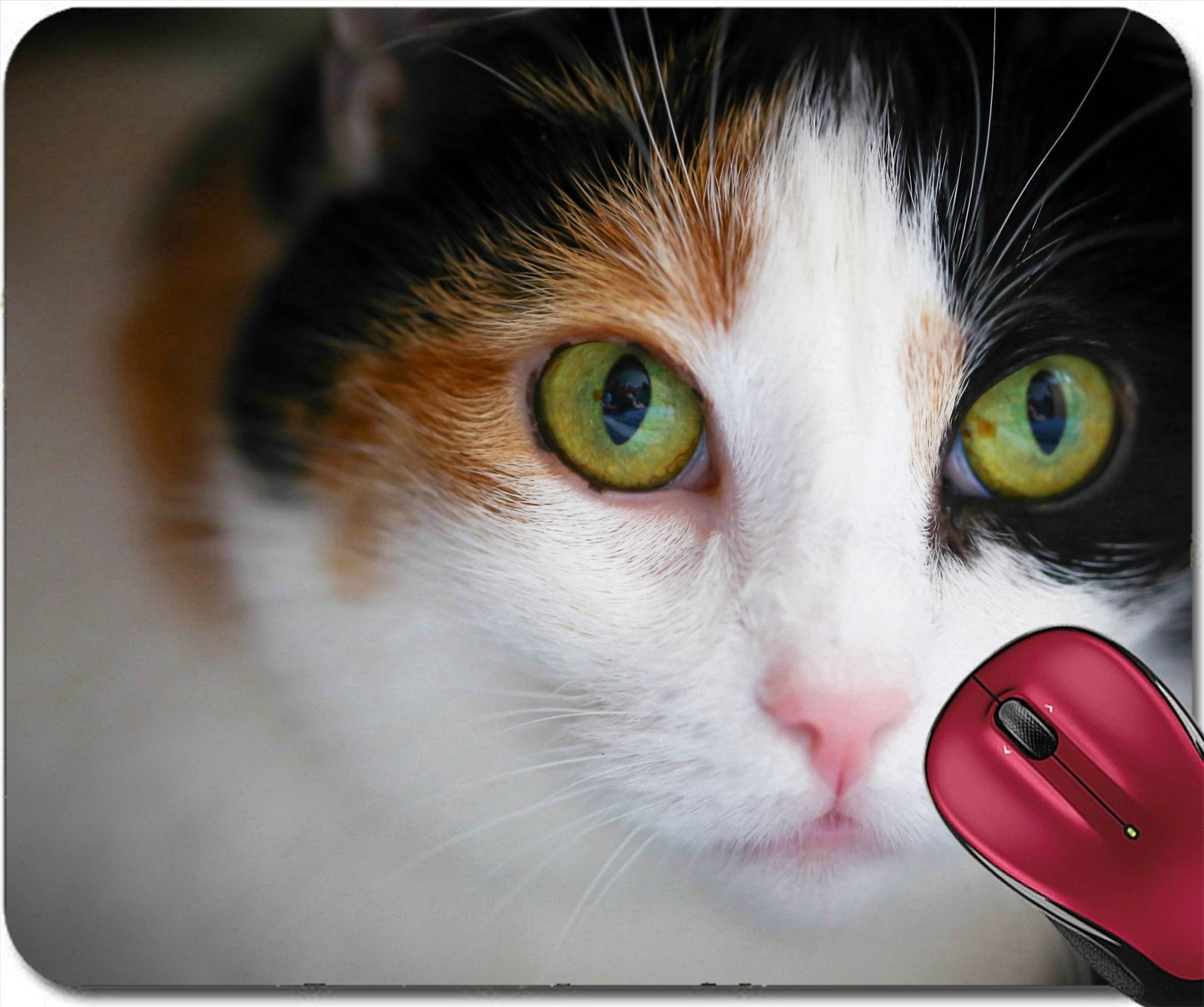 calico-cat-crochet-pattern-free-crochet-patterns