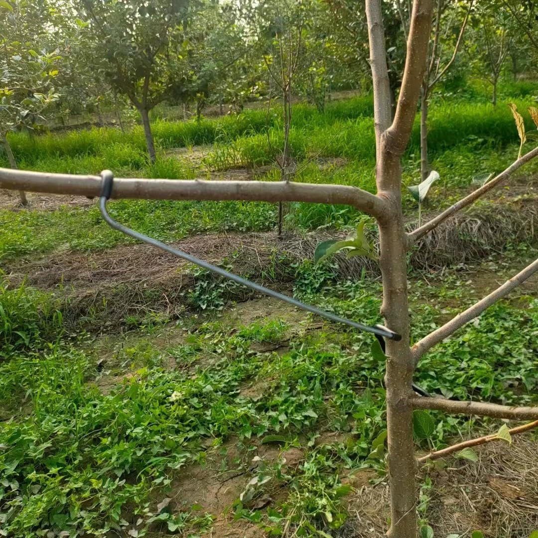 Lot de 10 écarteurs de branches d'arbre fruitier, extracteur de branches de 35,6 cm, nouvel épandeur de branches de fruits en plastique enveloppé de fil de fer qui n'endommage pas les branches