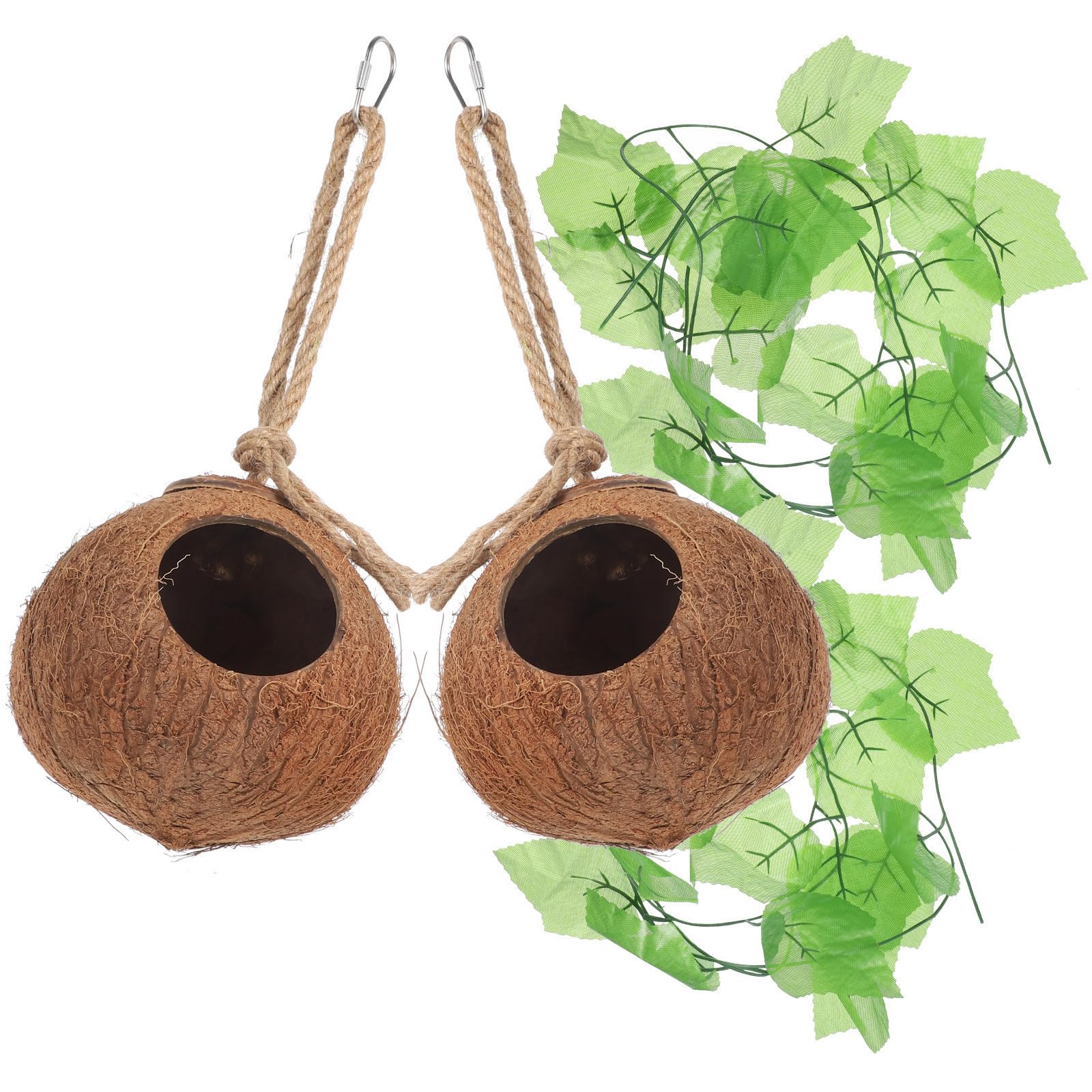 Nid en coquille de noix pour terrarium naturel et aménagement de cage arboricole