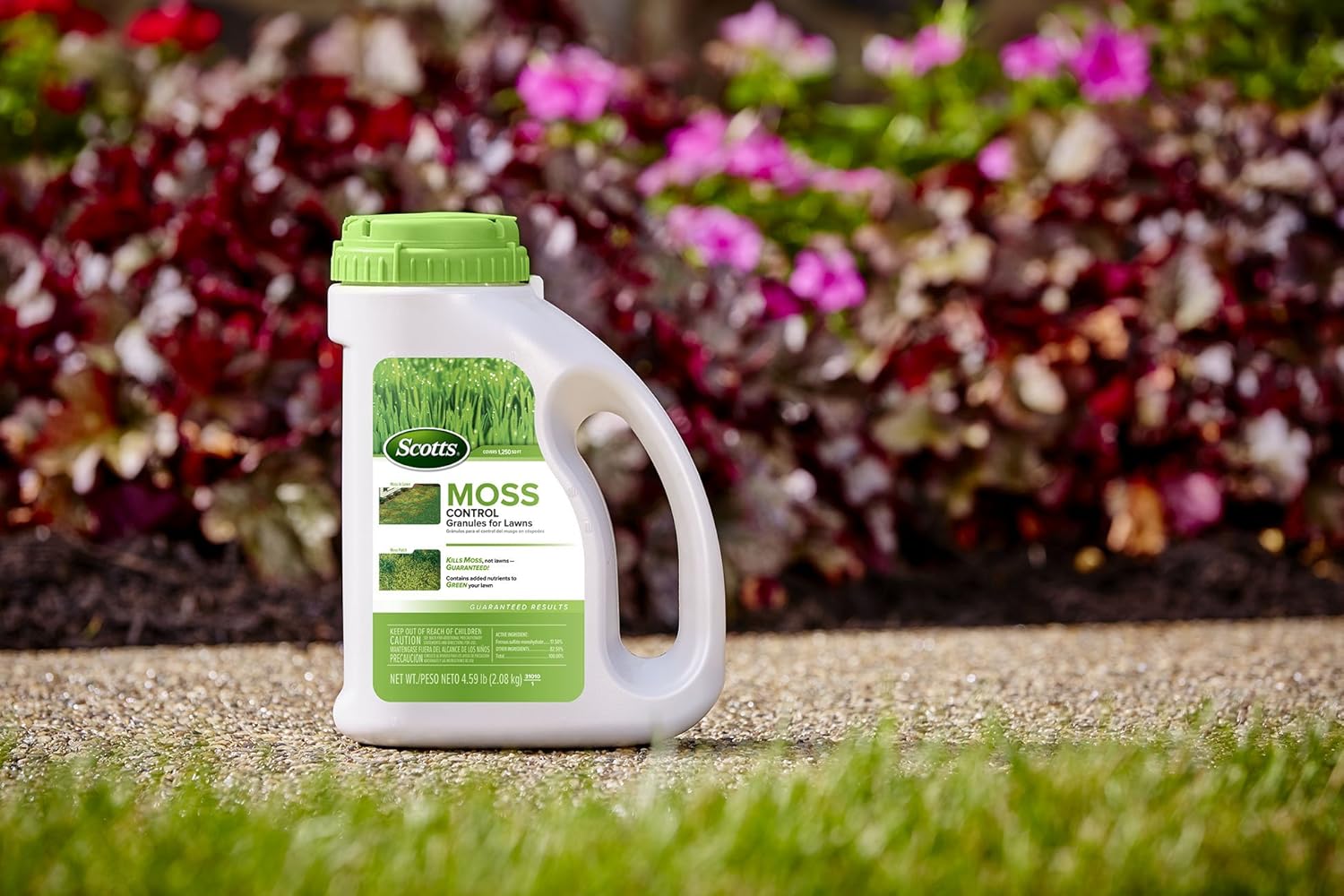 Scotts Moss Killer for Lawns, Easy-To-Use Shaker Jug, Contains Nutrients to Green Grass, Perfect for Spot Treating, 4.59 lbs.