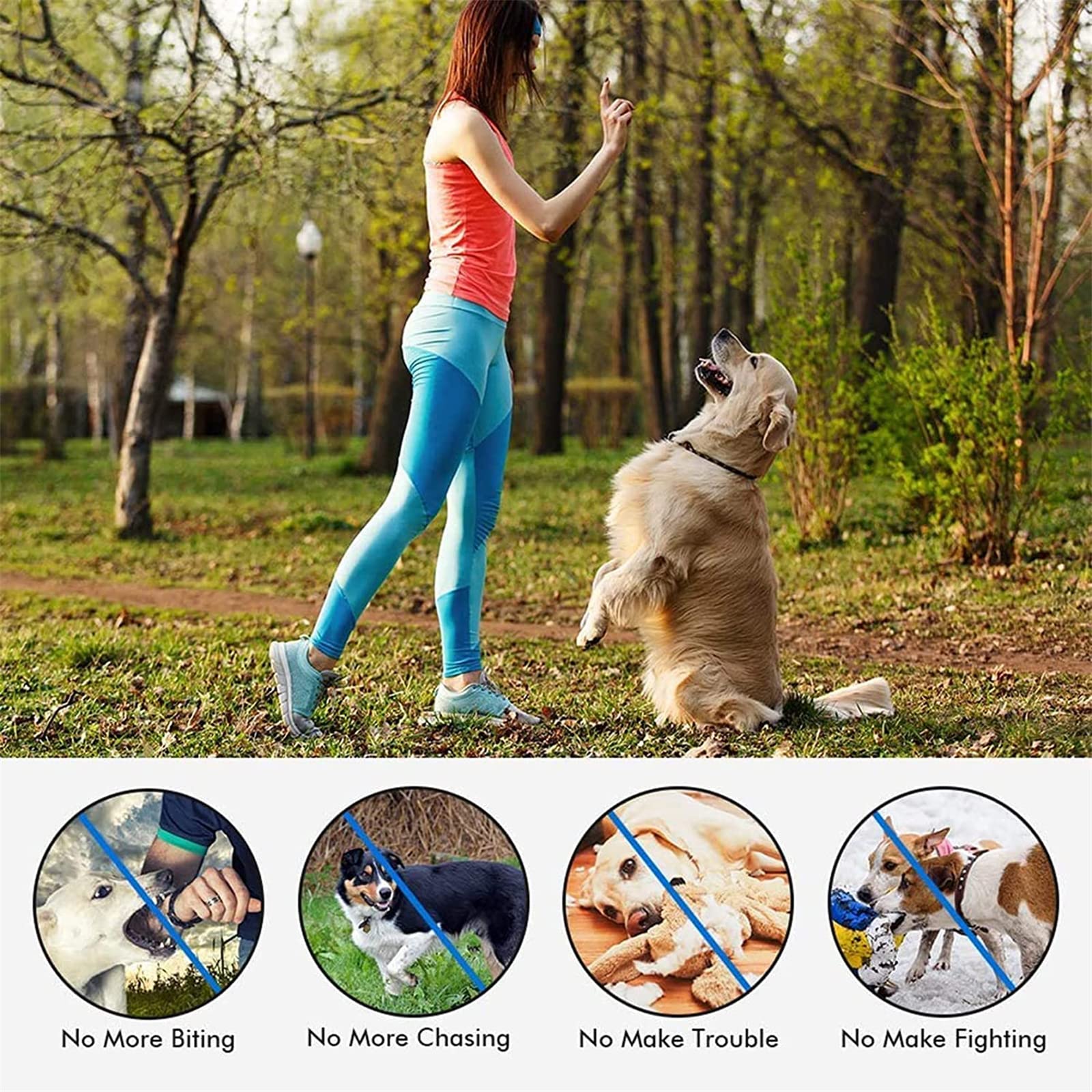 Hunde-Halsband,Hundehalsbänder,Klassisches,Hundehalsband, Hundehalsband Hund Neuheit,längenverstellbar,Geeignet für alle Arten von Hunden (aa2)