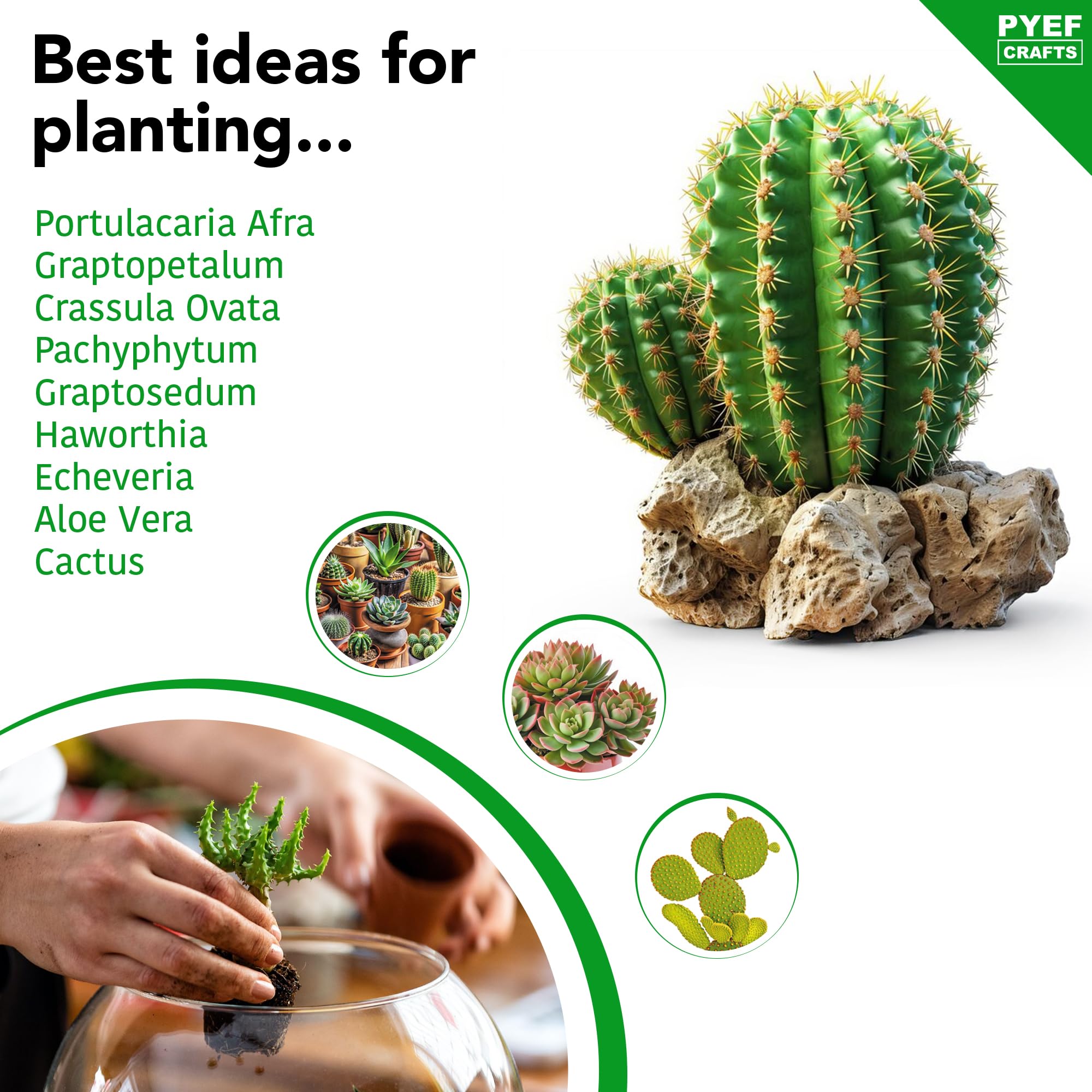 Zestaw do terrarium DIY dla sukulentów i kaktusów – zestaw startowy ze szklaną miską w zestawie – stwórz własny zestaw terrarium ze słoikiem, piaskiem, ziemią, węglem drzewnym, kamieniami
