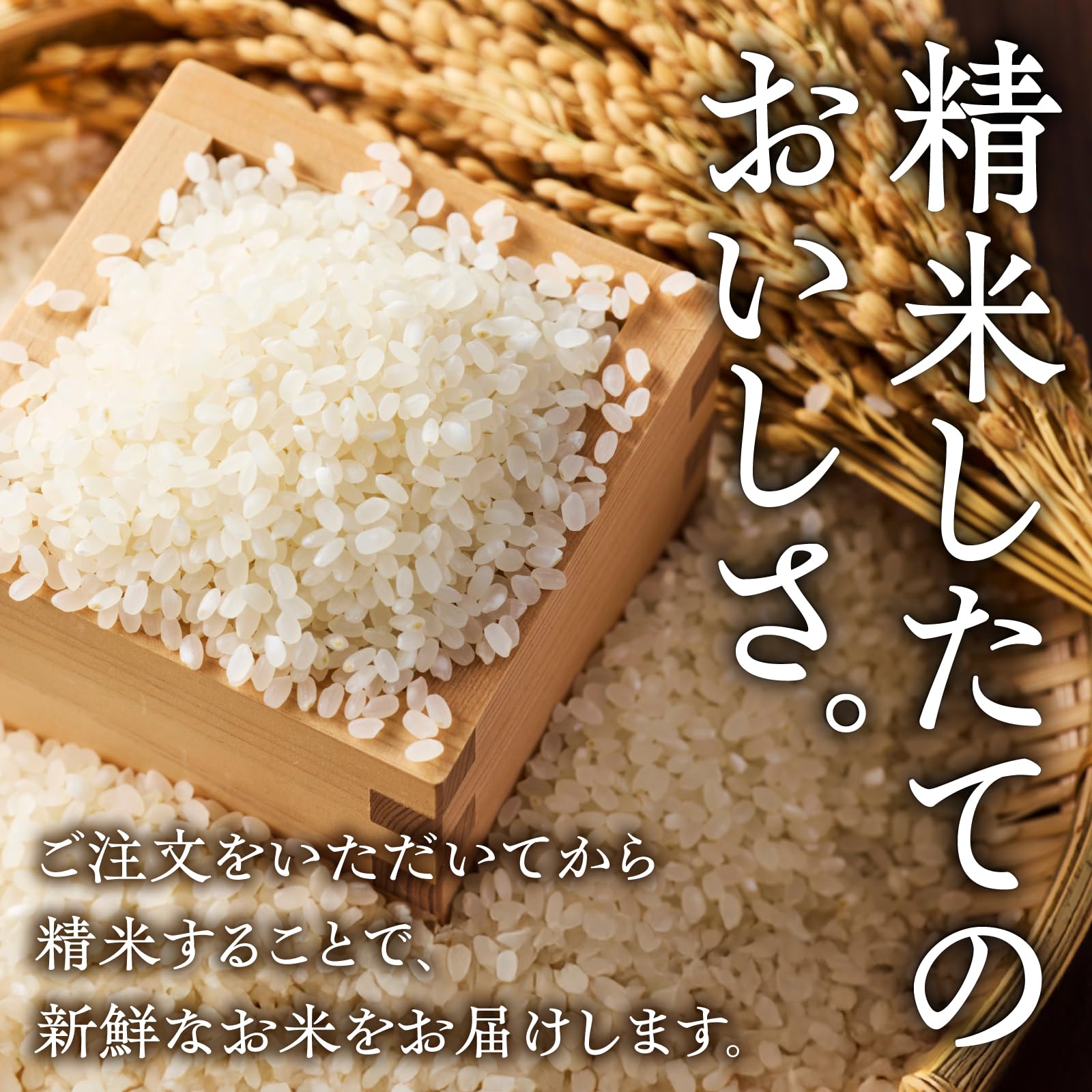 Amazon.co.jp: あきたこまち 白米 10kg (5kg×2) 秋田県産 令和7年産 単