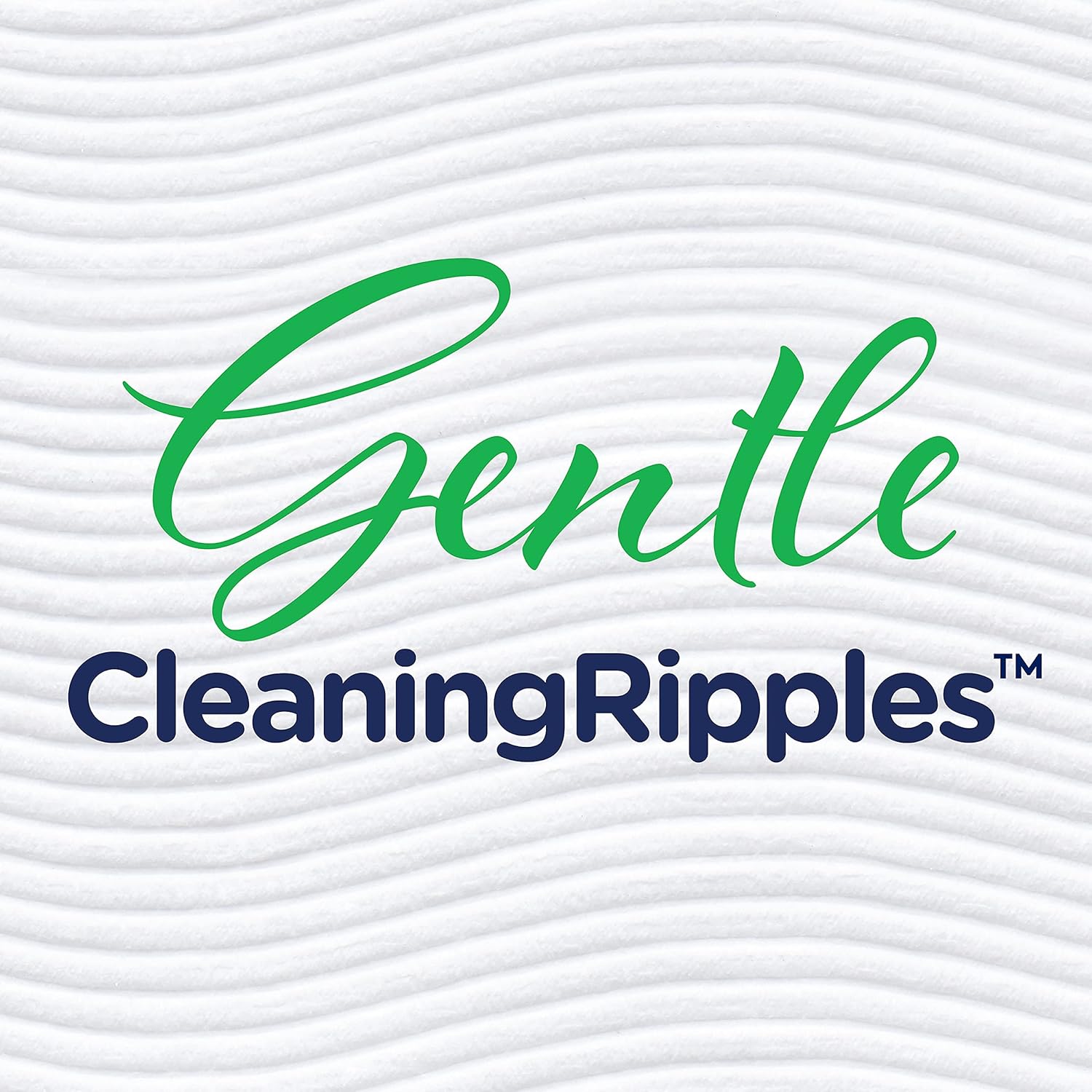 Cottonelle Ultra GentleCare Gentle Toilet Paper with Aloe & Vitamin E, 24 Family Mega Rolls, Gentle Bath Tissue (24 Family Mega Rolls = 128 Regular Rolls) : Everything Else